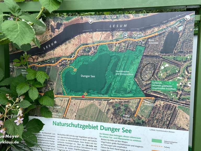 dünger für bananenpflanze Purgrün Bananendünger 1 Liter main image 0