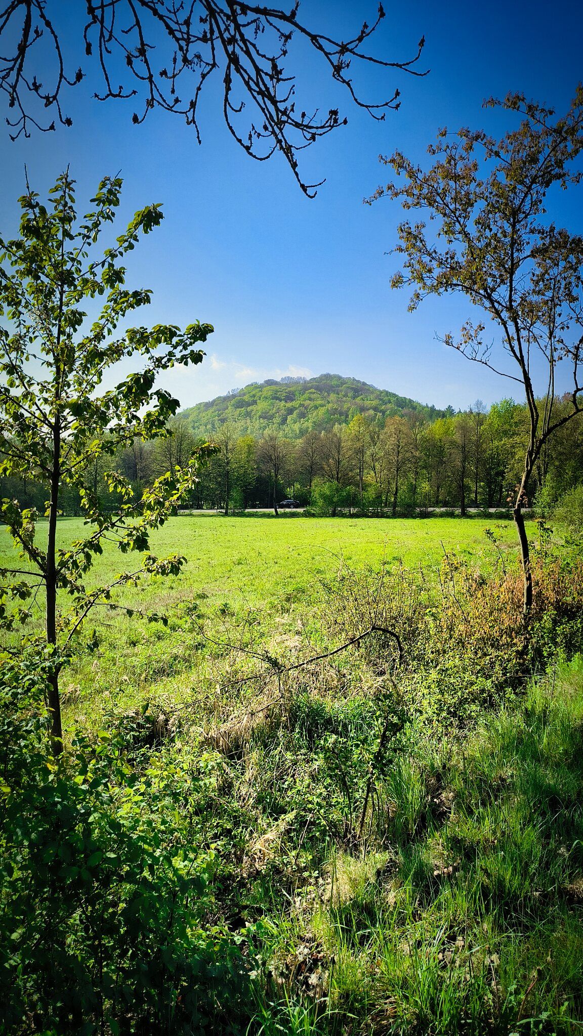 Blick zum Baunsberg