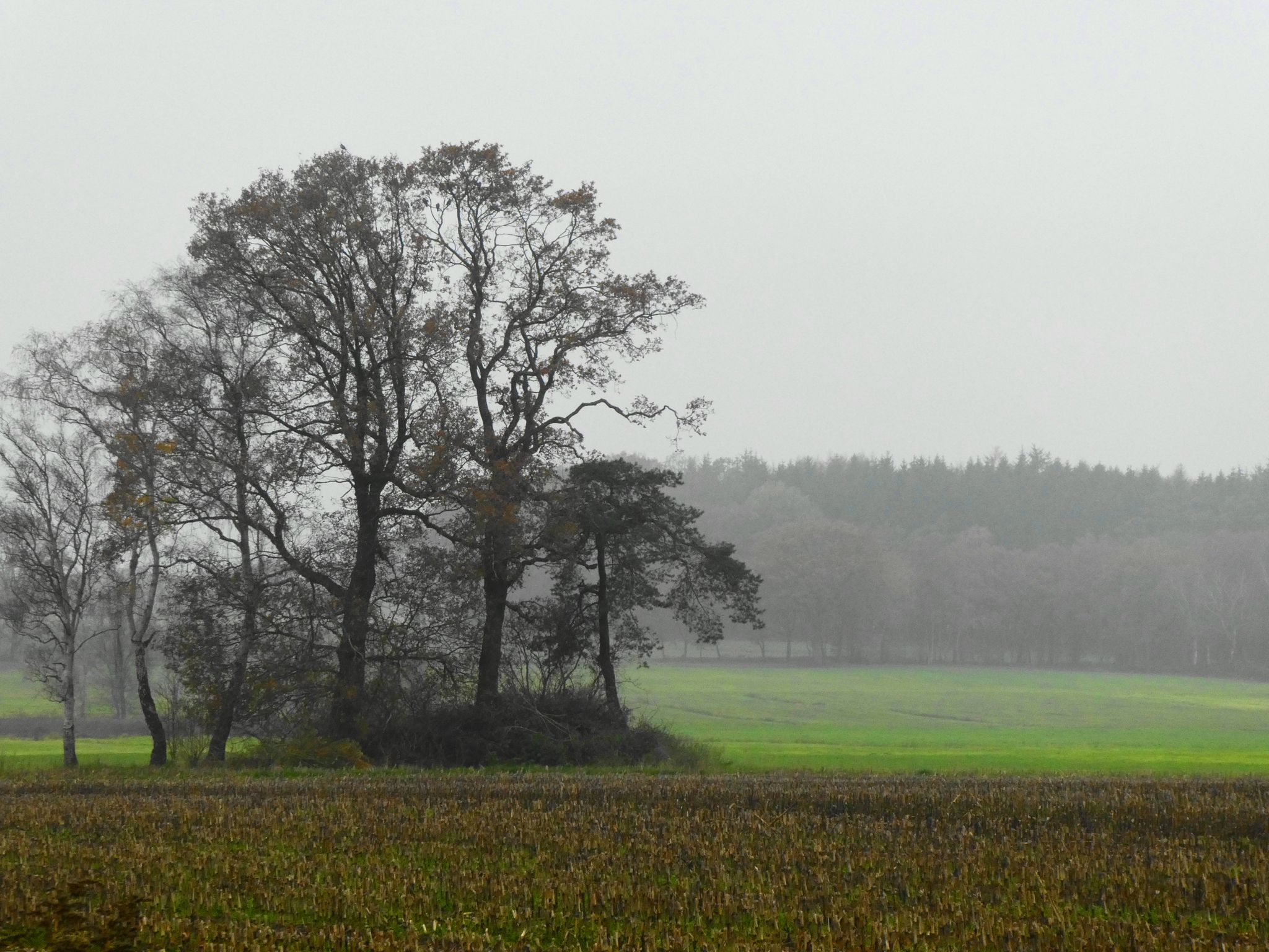 Anfahrt auf das Hohe Moor