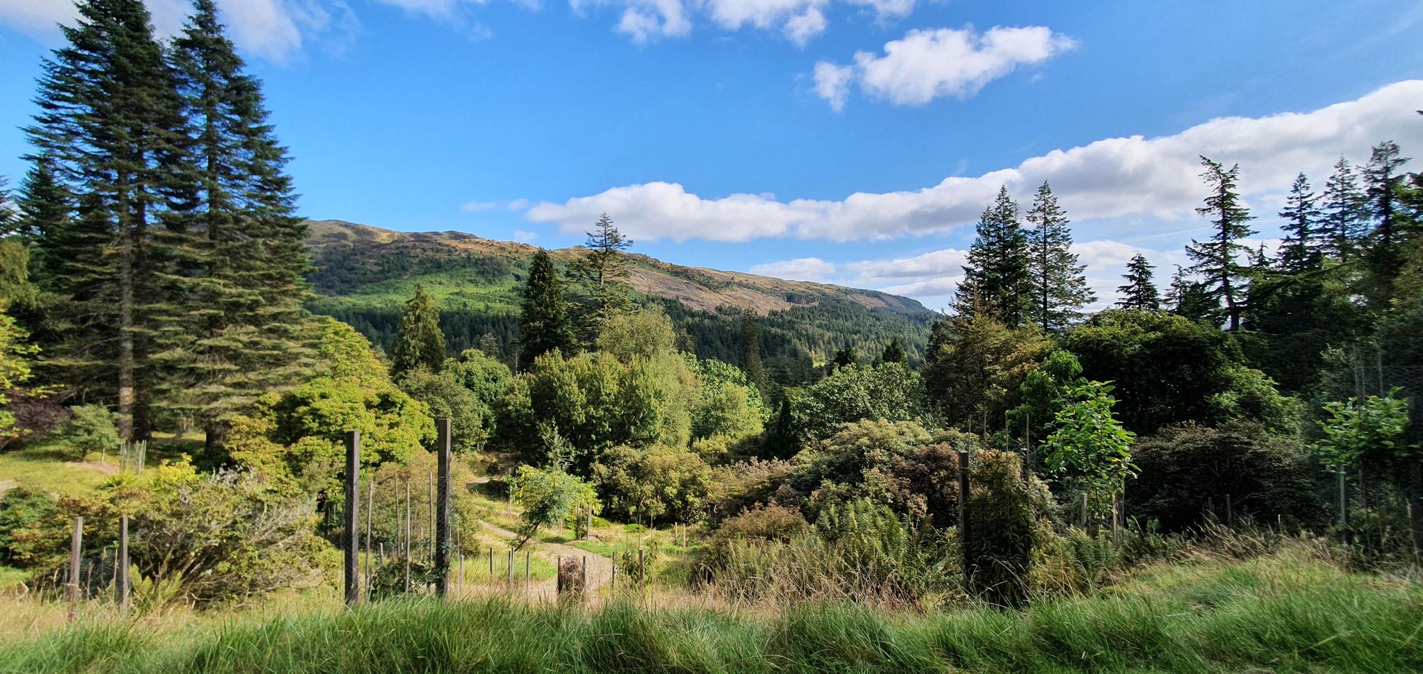 View from bench