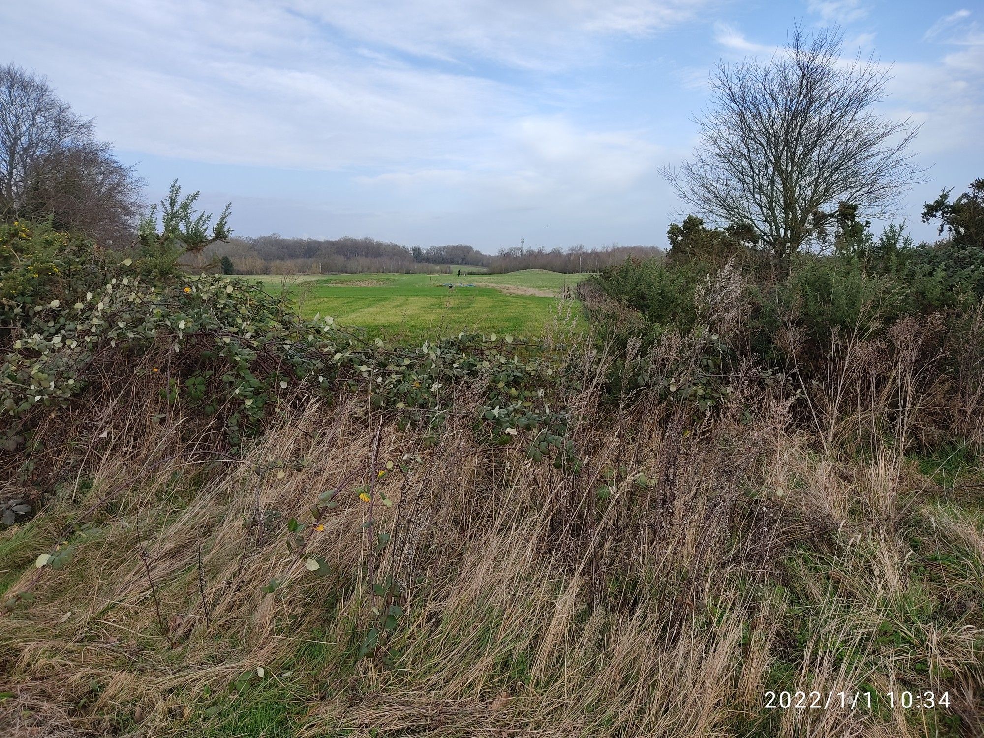 Caversham Heath golf course