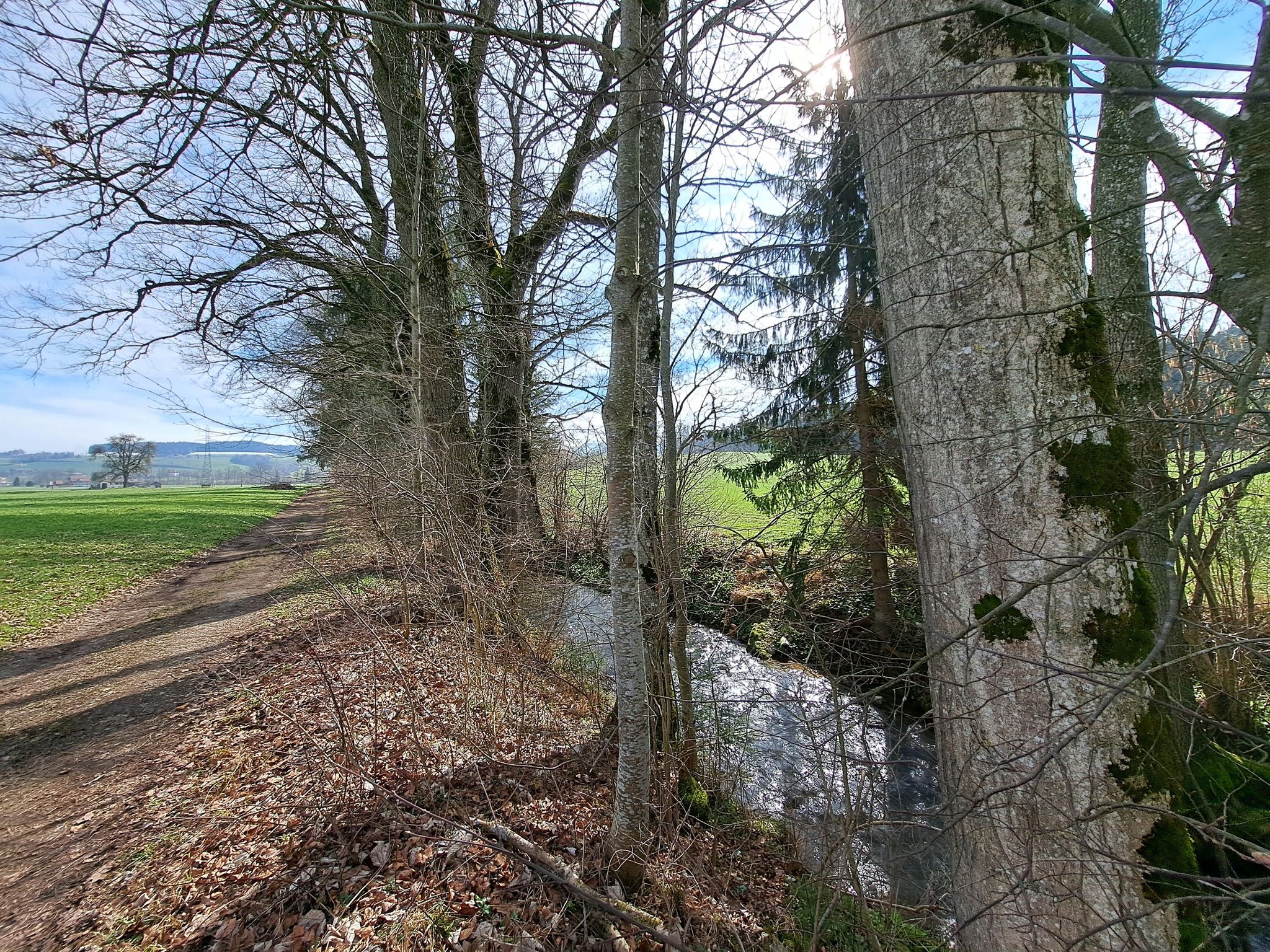 Der Bach Rot