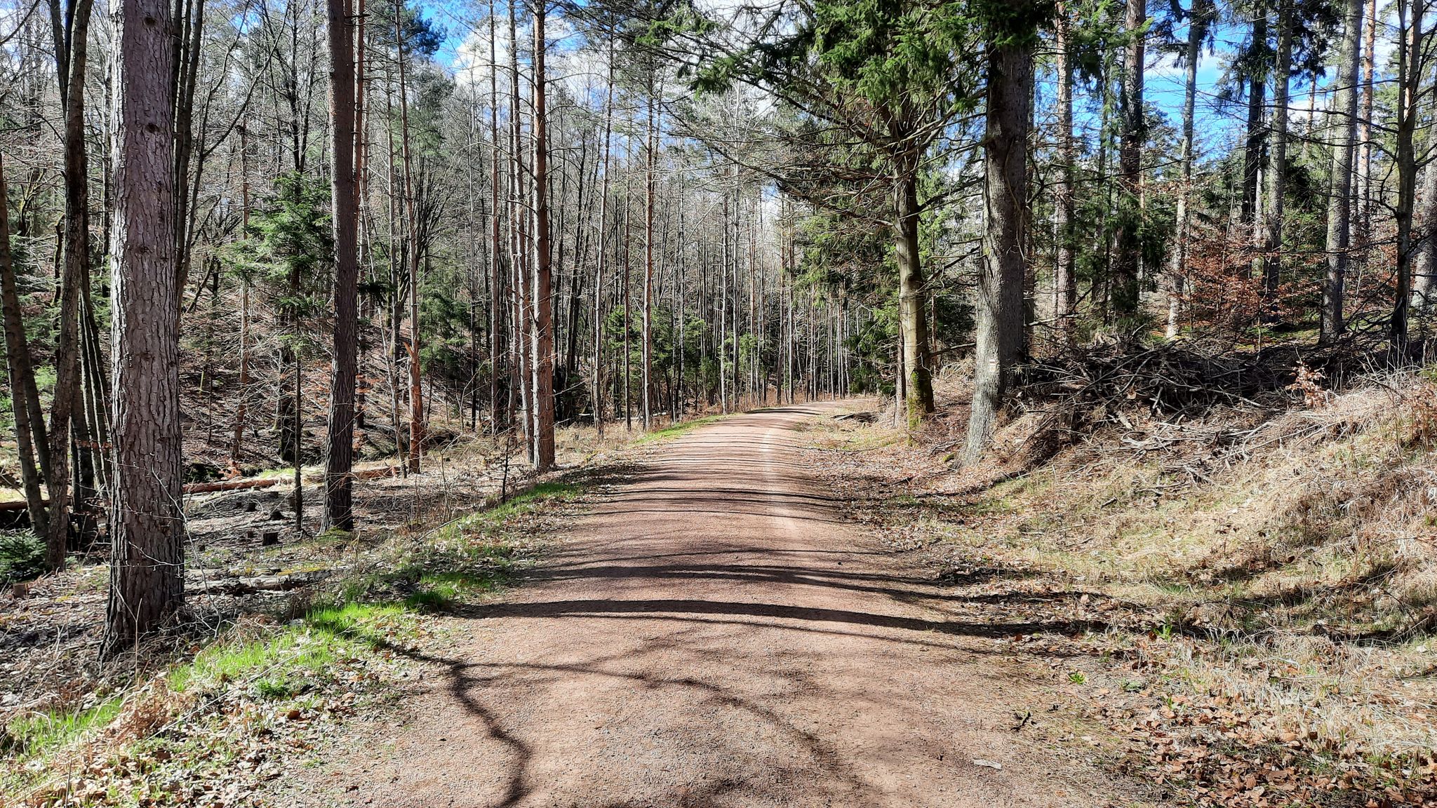 durch die Heide
