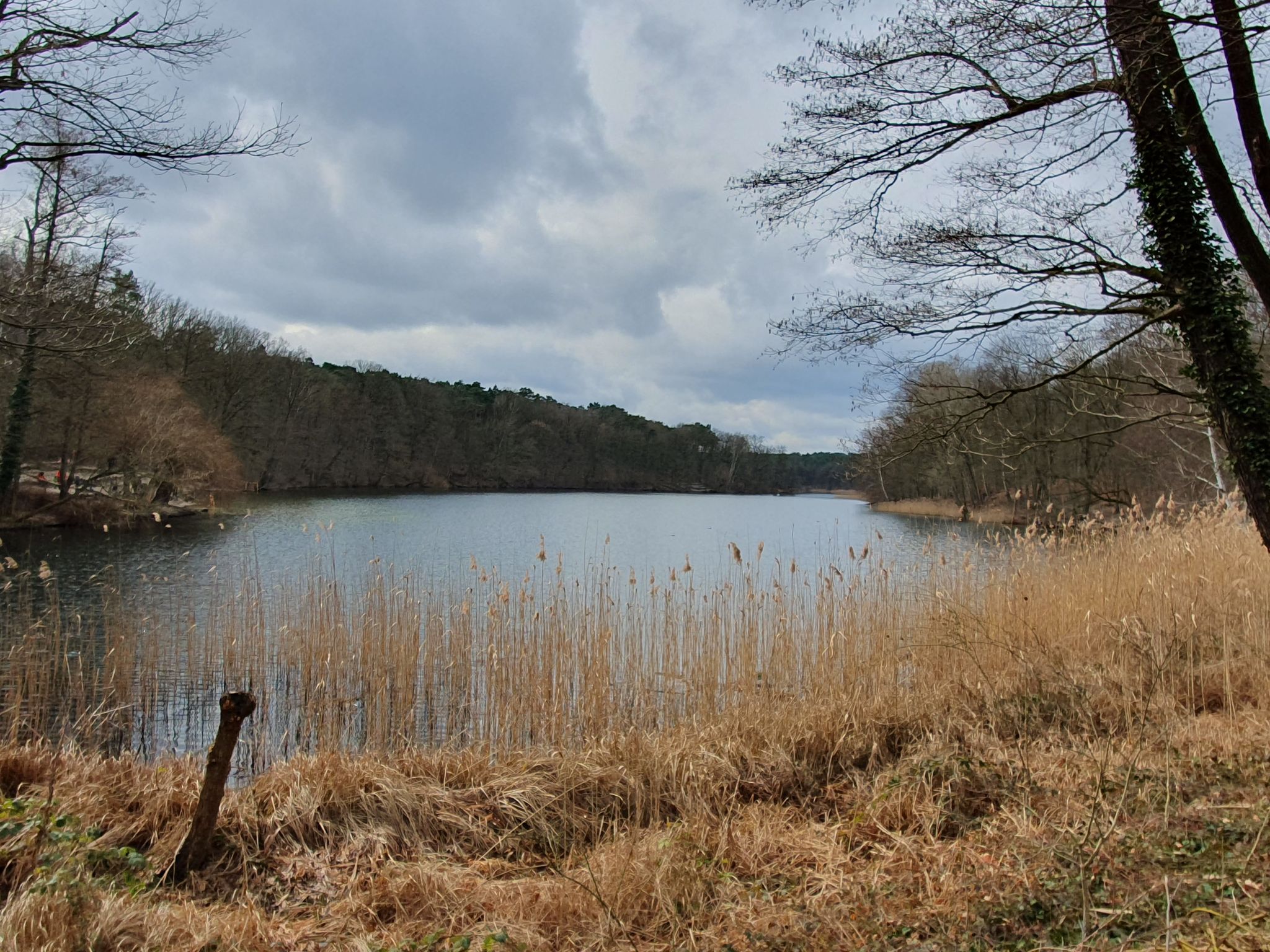 Krumme Lanke