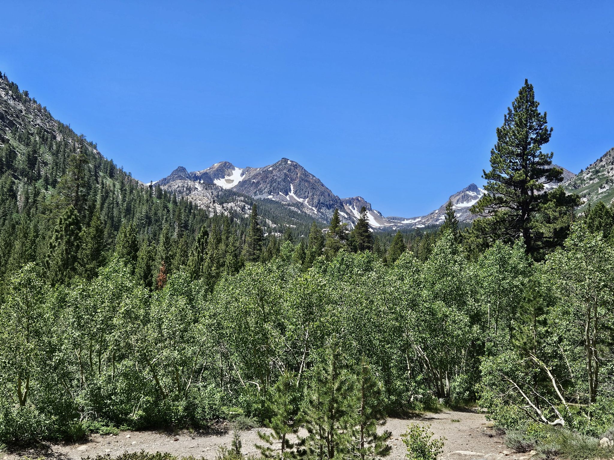 Snow-capped mountains rise above a dense green forest on a sunny day. - Green Lake via Green Creek Trail