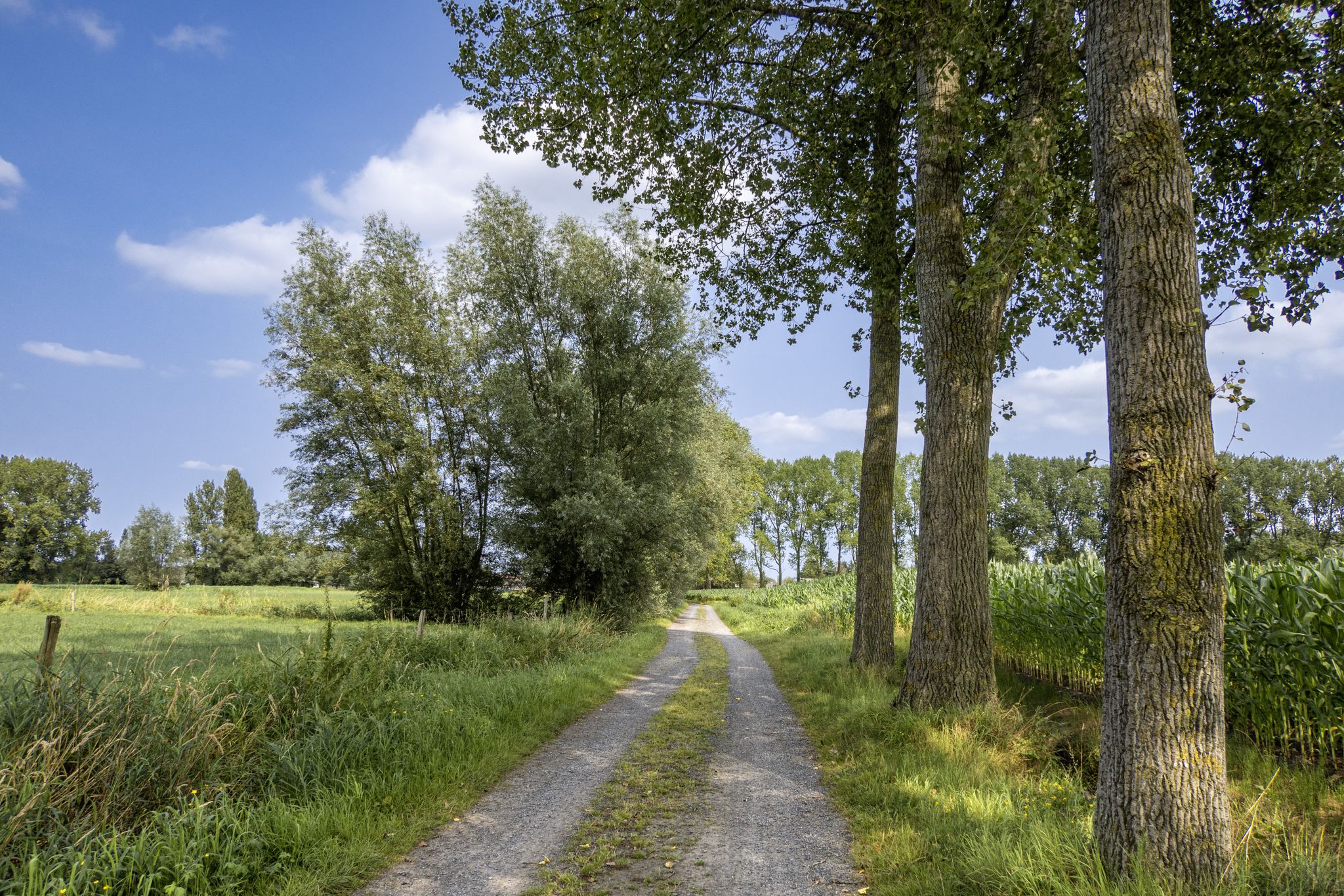 Op het gravel bij Heiende