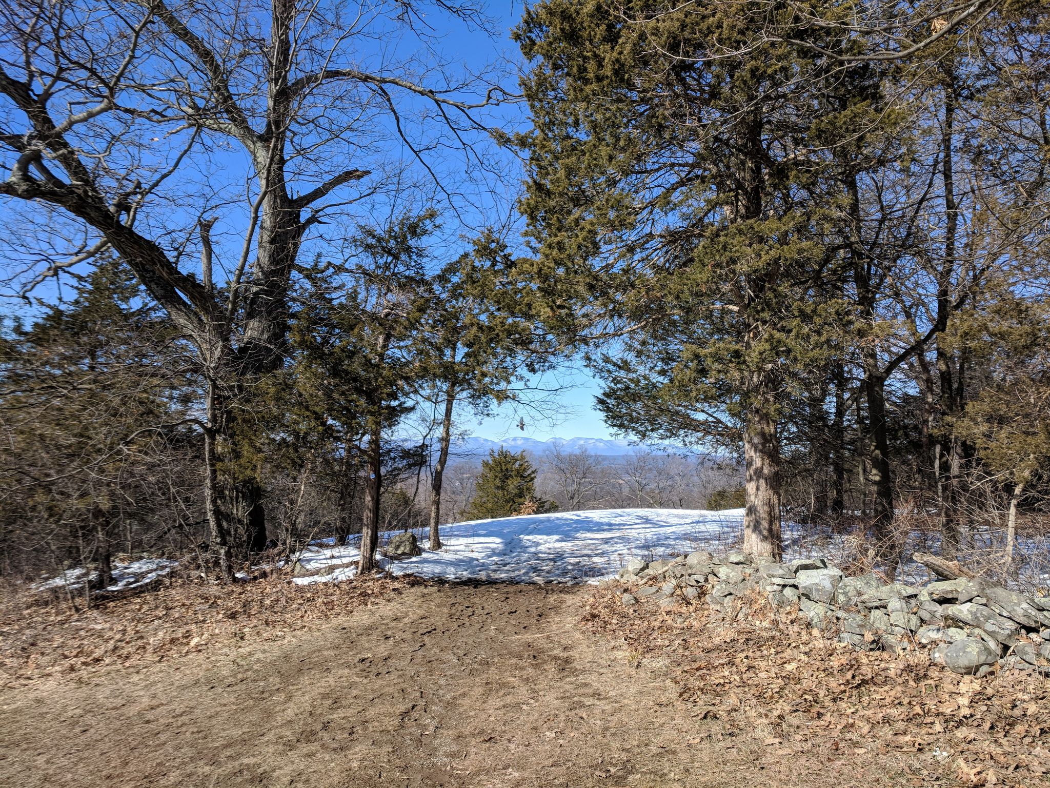 Dirt path leading to a snowy clearing with distant mountains under blue sky. - Bonticou Crag and Table Rocks Loop