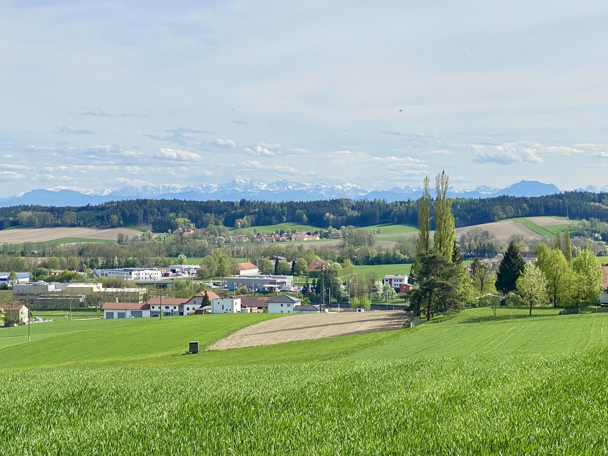 Süden: Alpenblick über Neumarkt