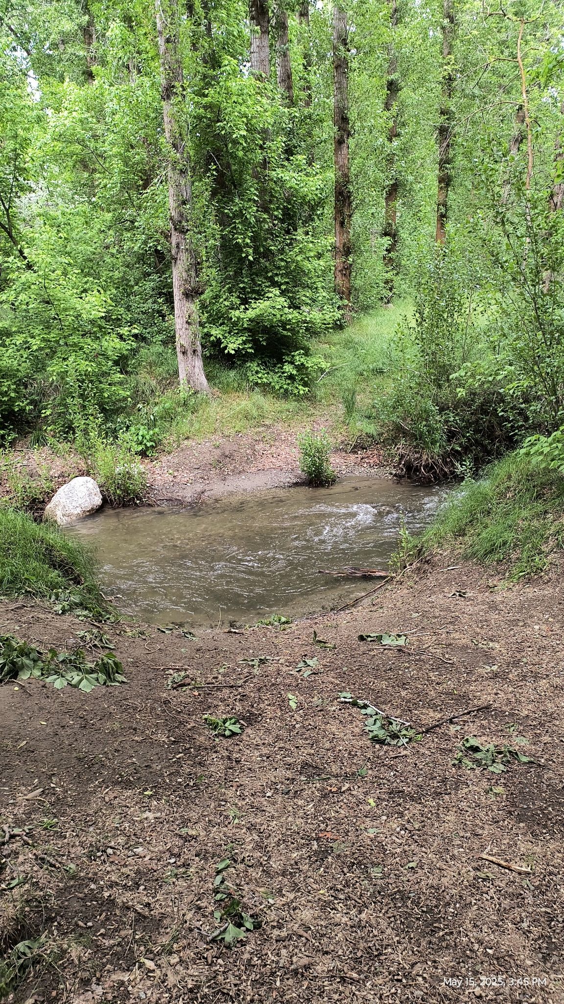 creek