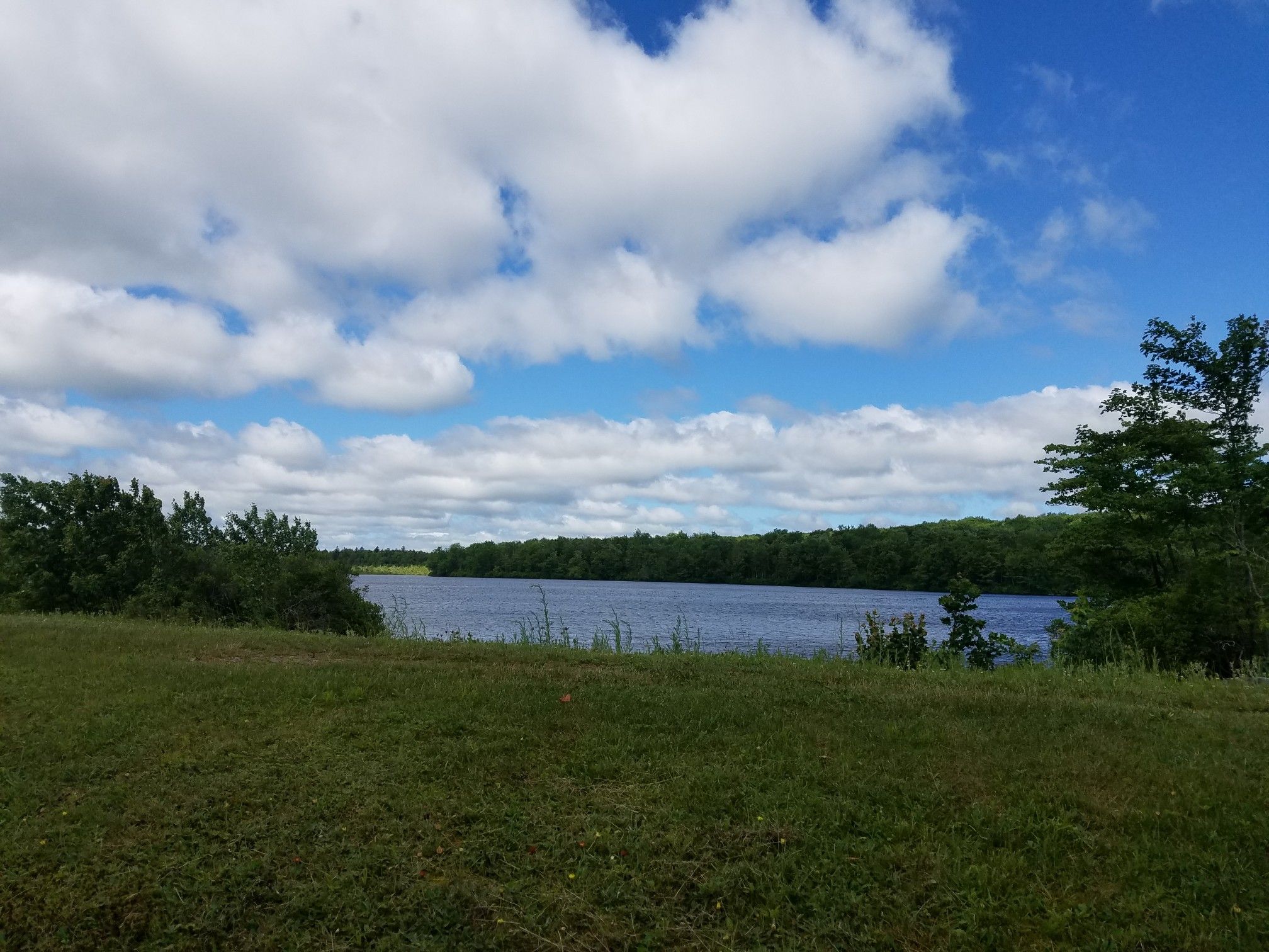 A wide lake surrounded by green trees under a bright, cloudy sky. - Lakeside Trail