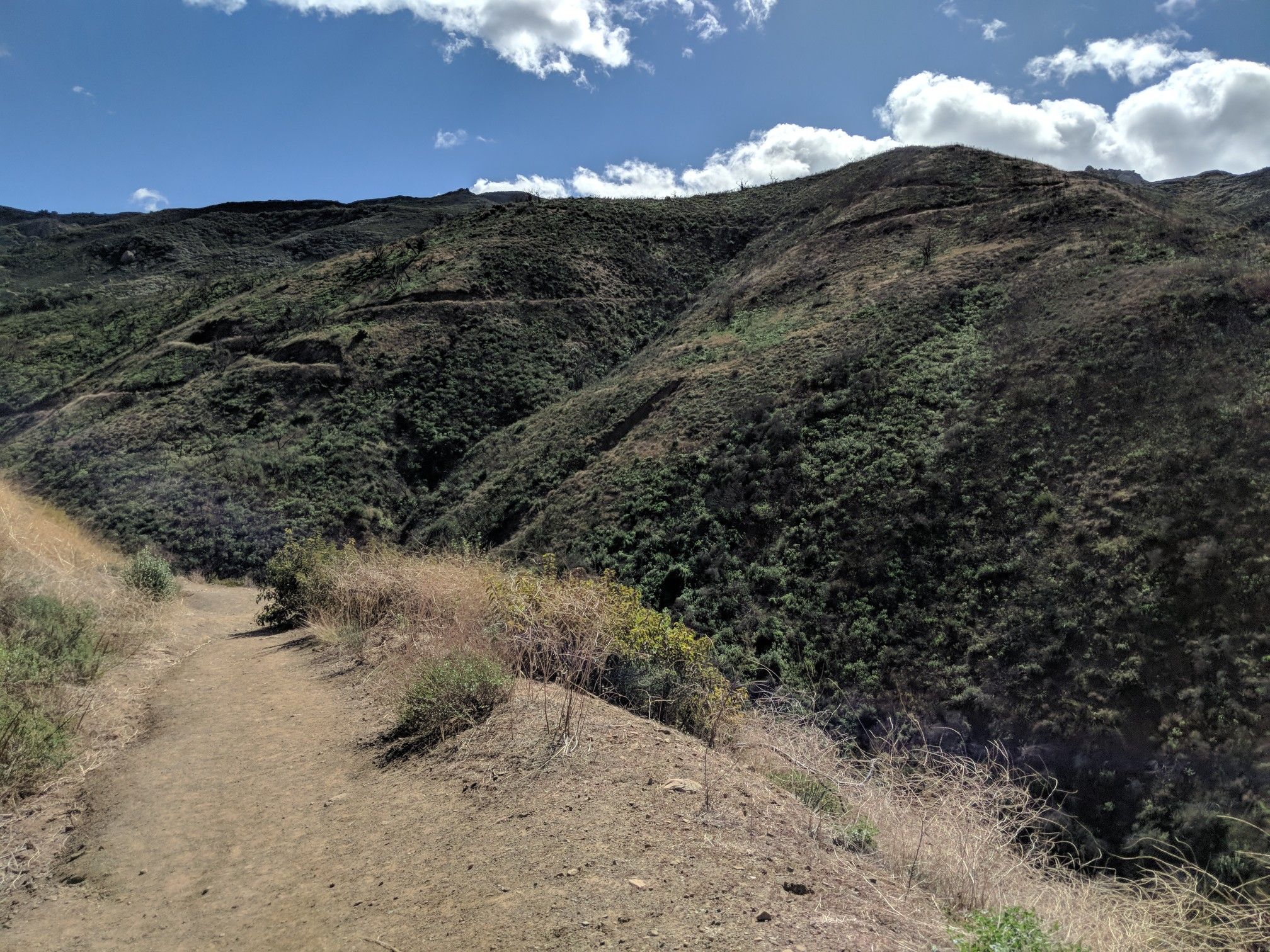 Dirt trail on a mountainside, surrounded by green and dry brush. - Sycamore Falls – Upper Sycamore Overlook loop from Rancho Sierra Vista/Satwiwa