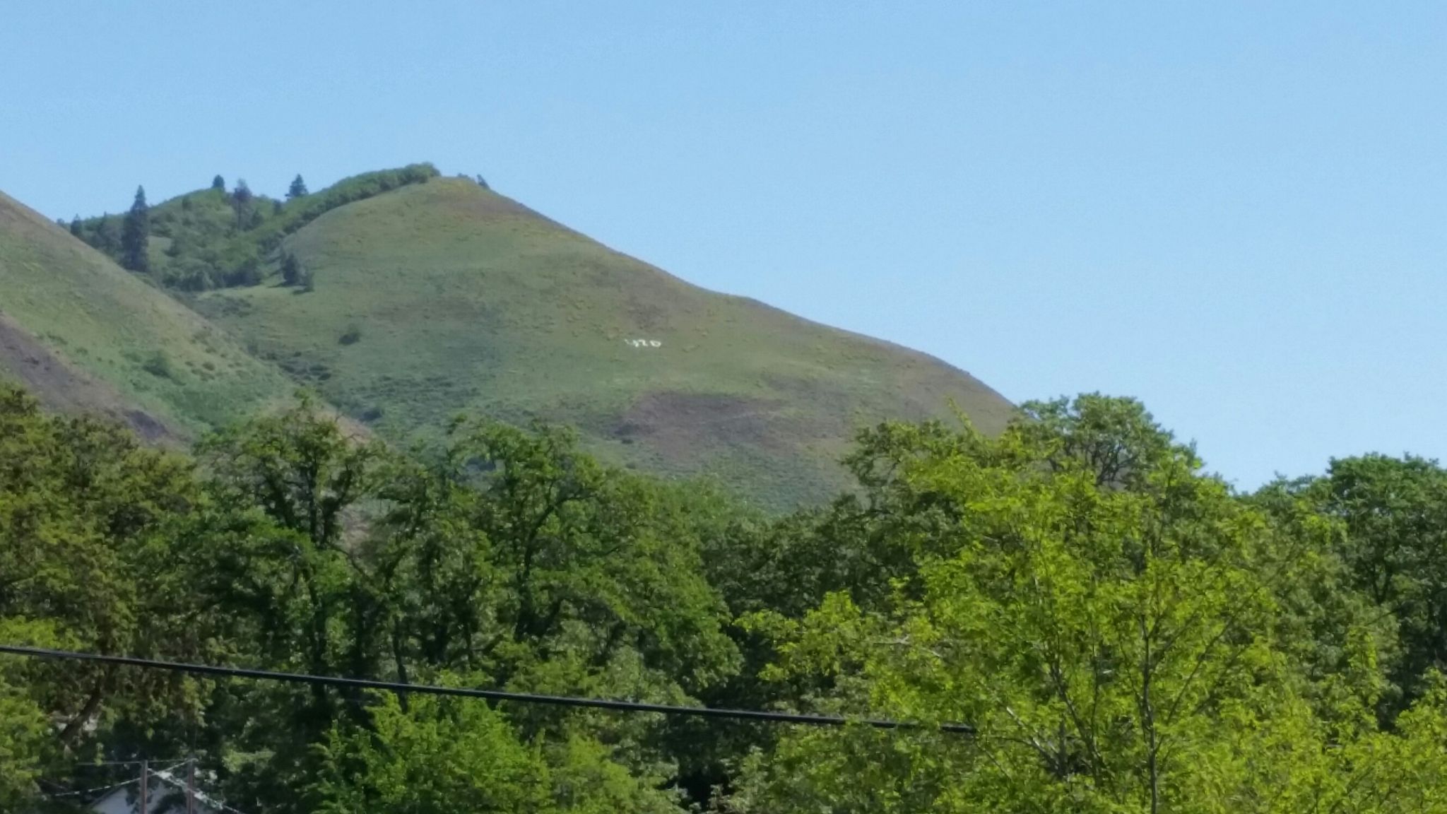 at the end of hiker someone put 420 on hillside above lyle