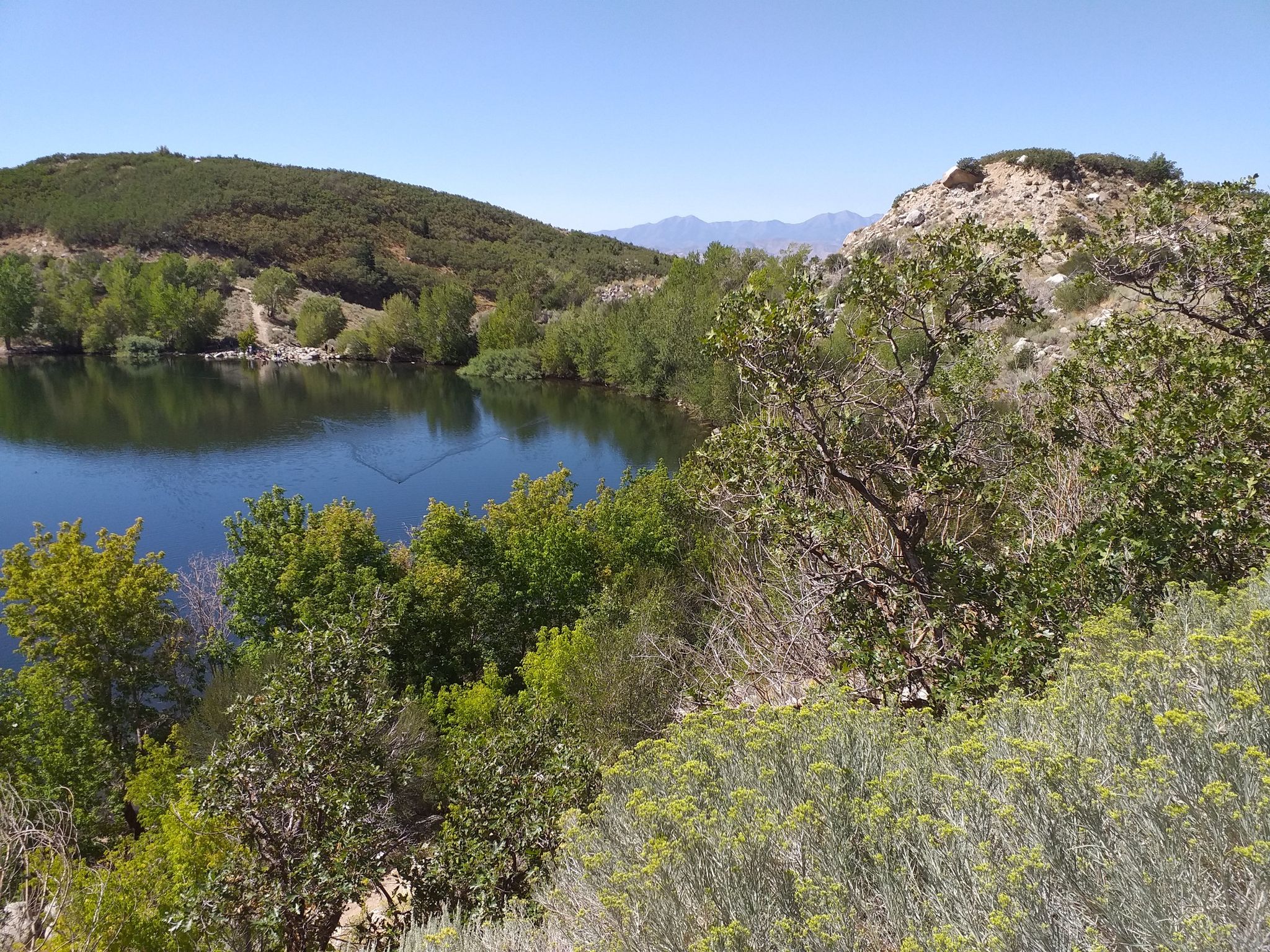 Serene lake surrounded by green trees and rocky hills under a clear sky. - Bells Canyon Trail to Lower Falls