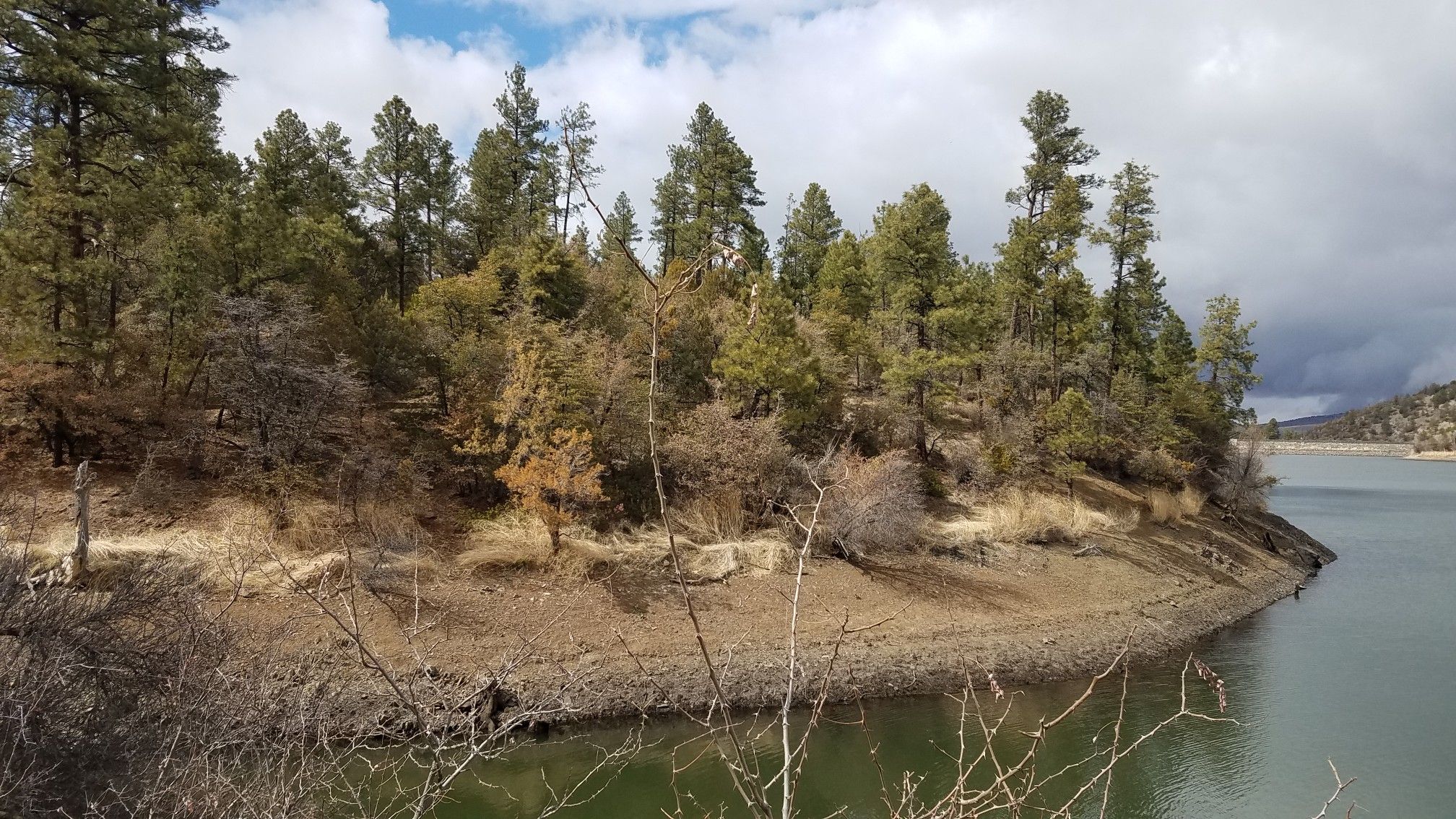 Lake shore with dry ground and pine trees, under a partly cloudy sky. - Homestead Trail #305 to Lynx Lake
