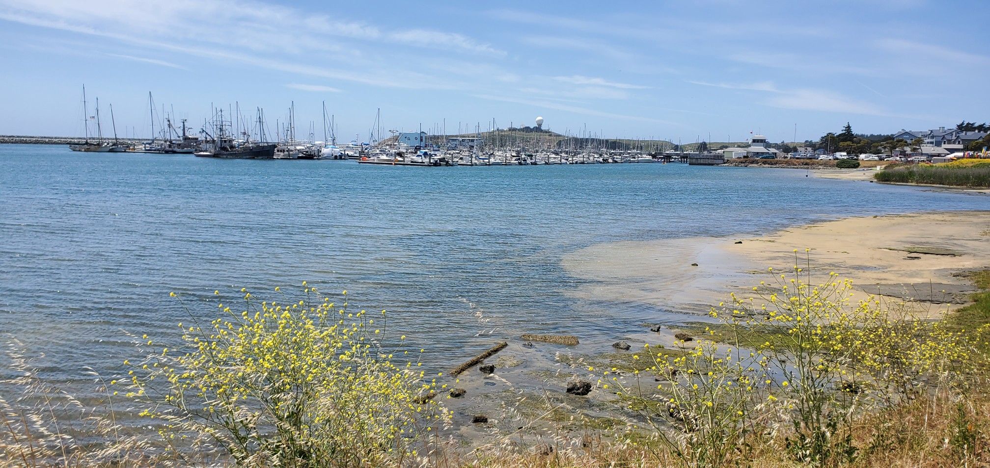 Calm harbor water with many boats and a distant town under blue sky. - Pillar Point Harbor & Pier – El Granada Beach loop from El Granada