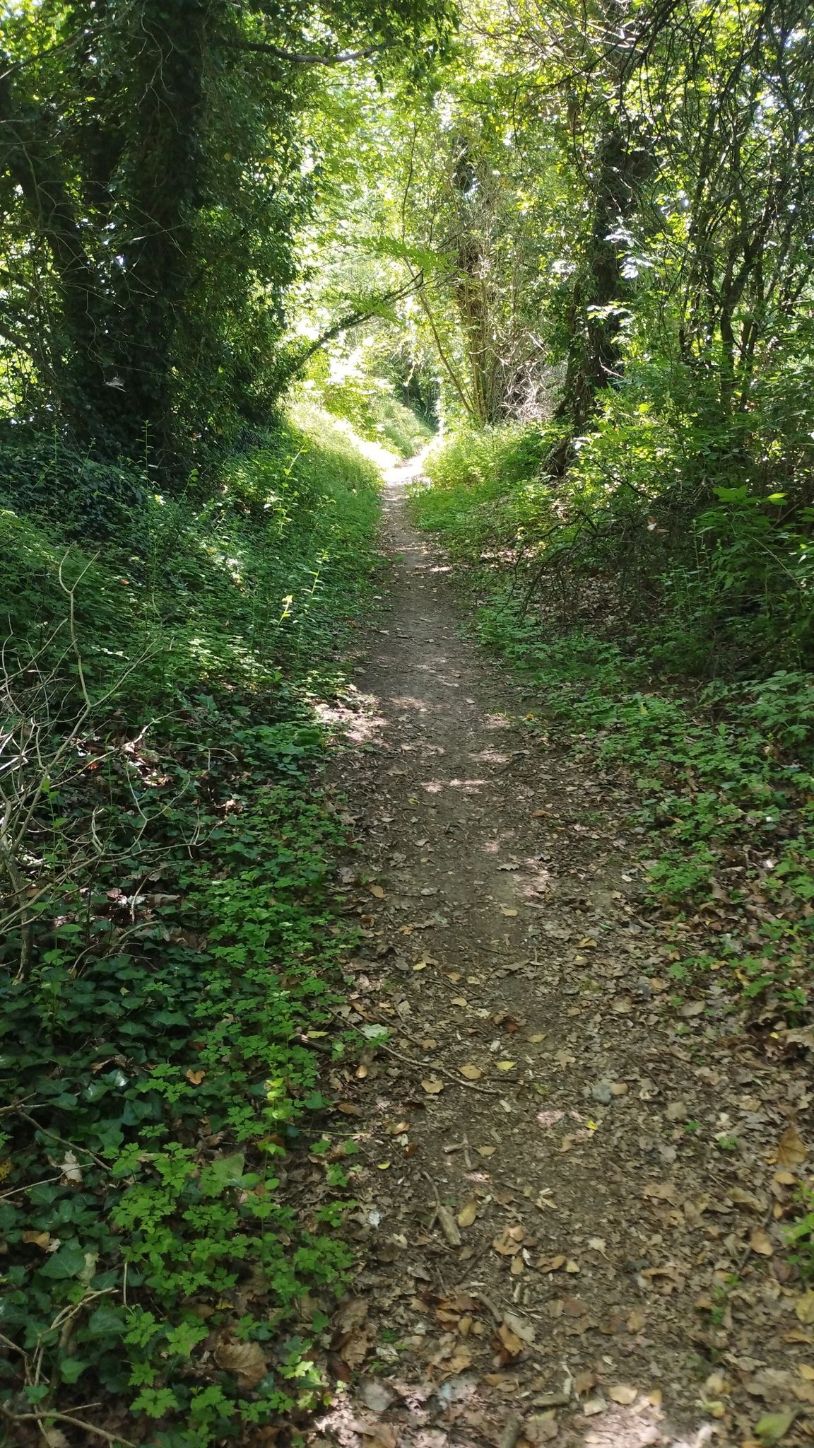 Chemin des éoliennes