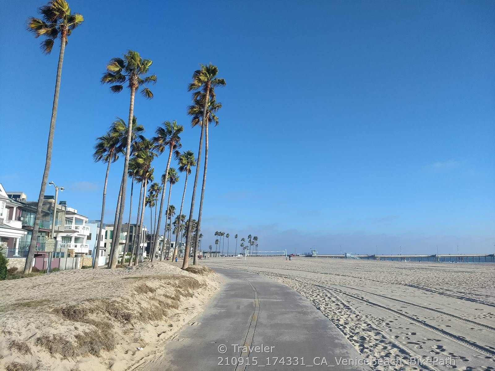 Palm trees lining a path next to a wide sandy beach. - Ocean Front Walk – Venice Beach Street Art Murals loop from Venice