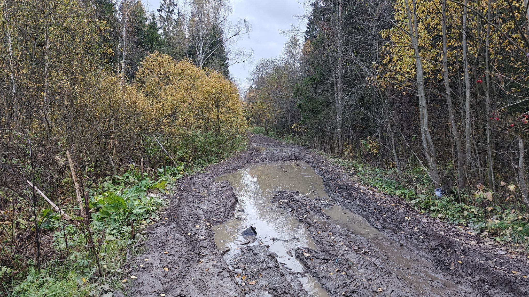 Но пришлось идти, таков путь..