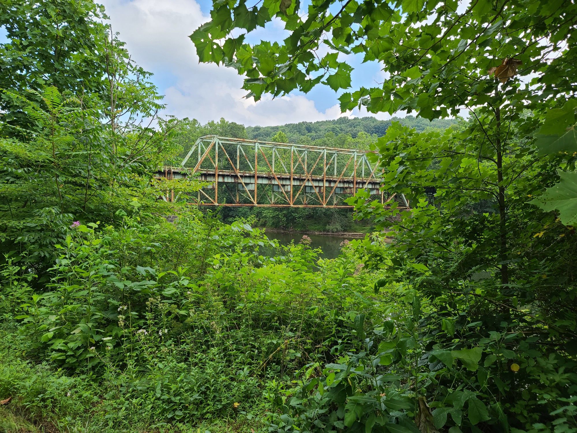 A metal truss bridge spans a river, framed by dense green foliage. - Great Allegheny Passage