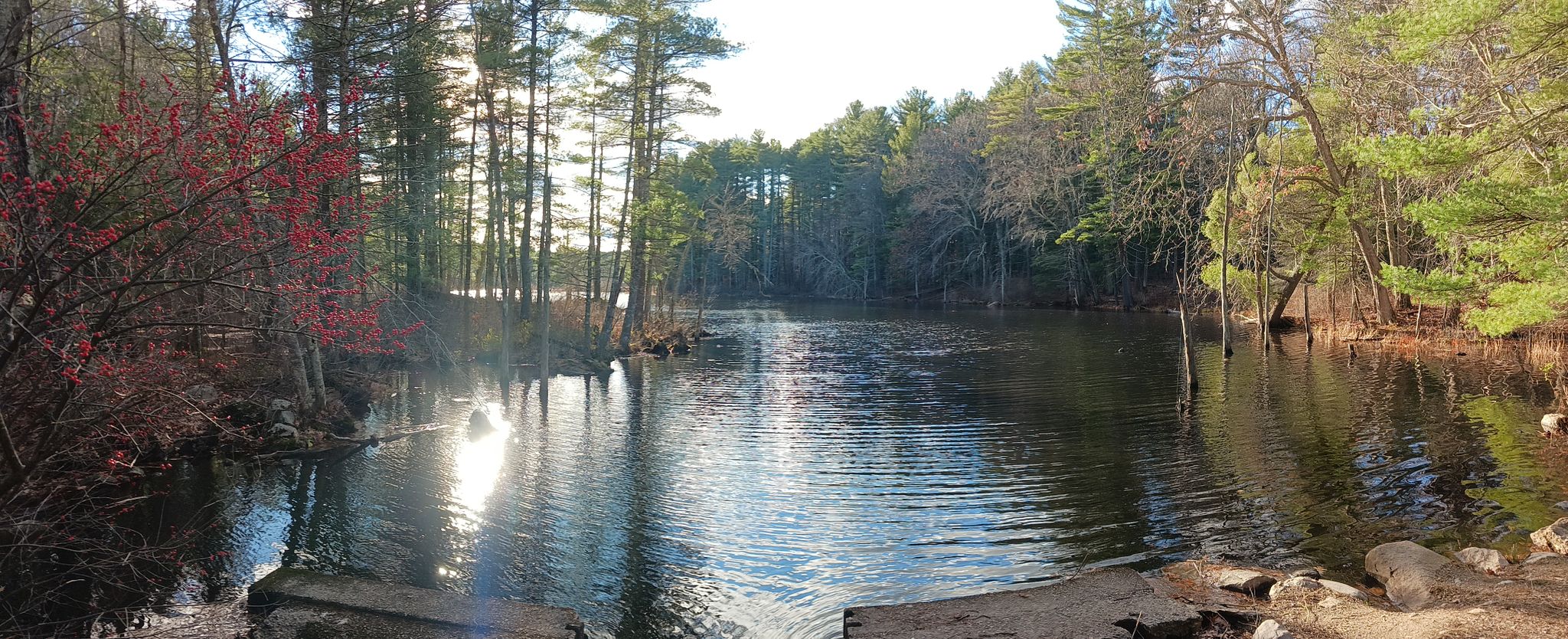 Sunny wide river surrounded by dense forest, with bright reflections on the water. - Great Brook Tophet Swamp Loop