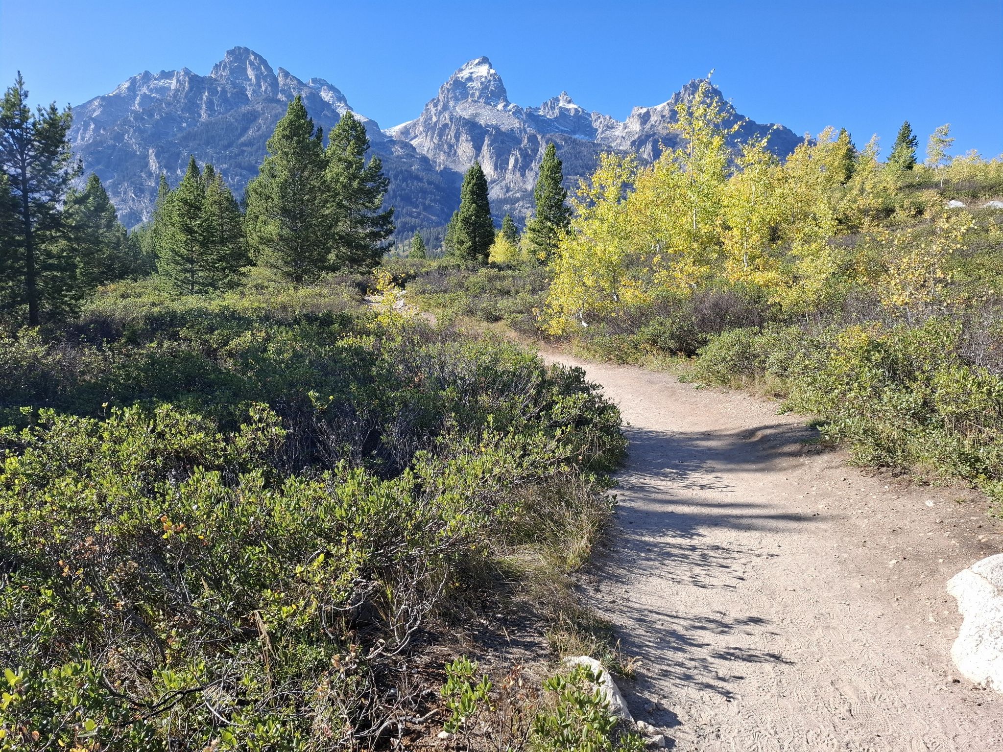 Dirt path winding through green and yellow trees towards distant mountains. - View of the Teton Range – Taggart Lake loop from Windy Point Turnout