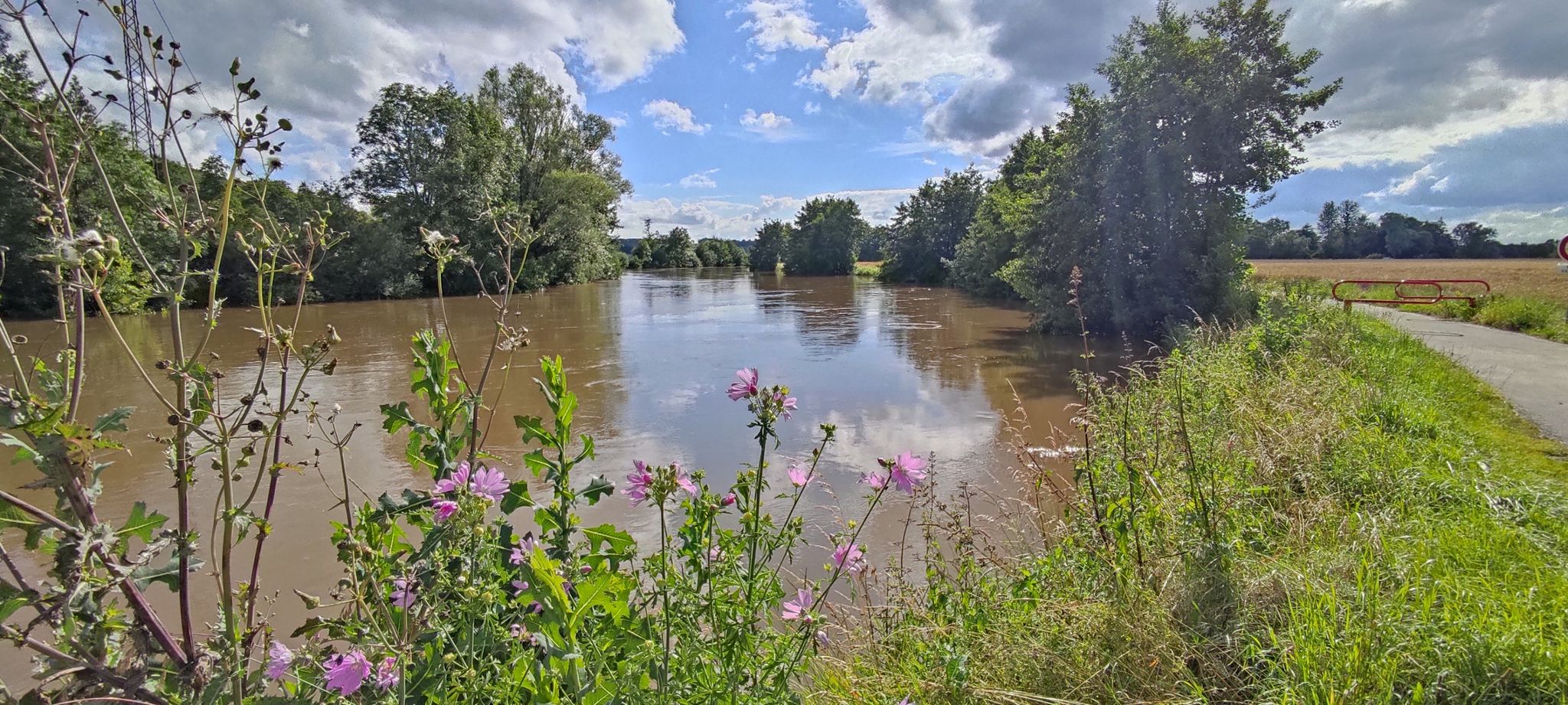 Saone mit Hochwasser