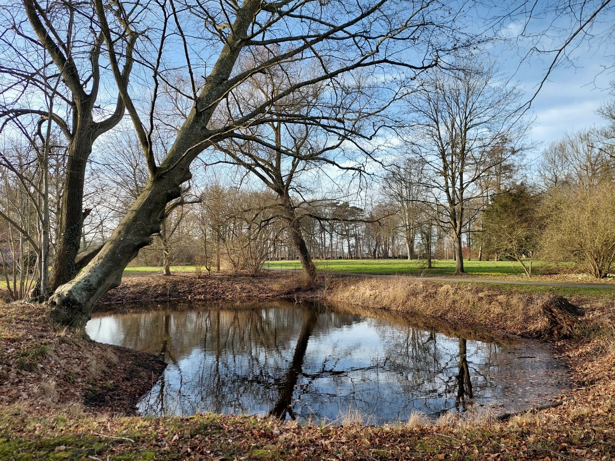 Der Herzteich
