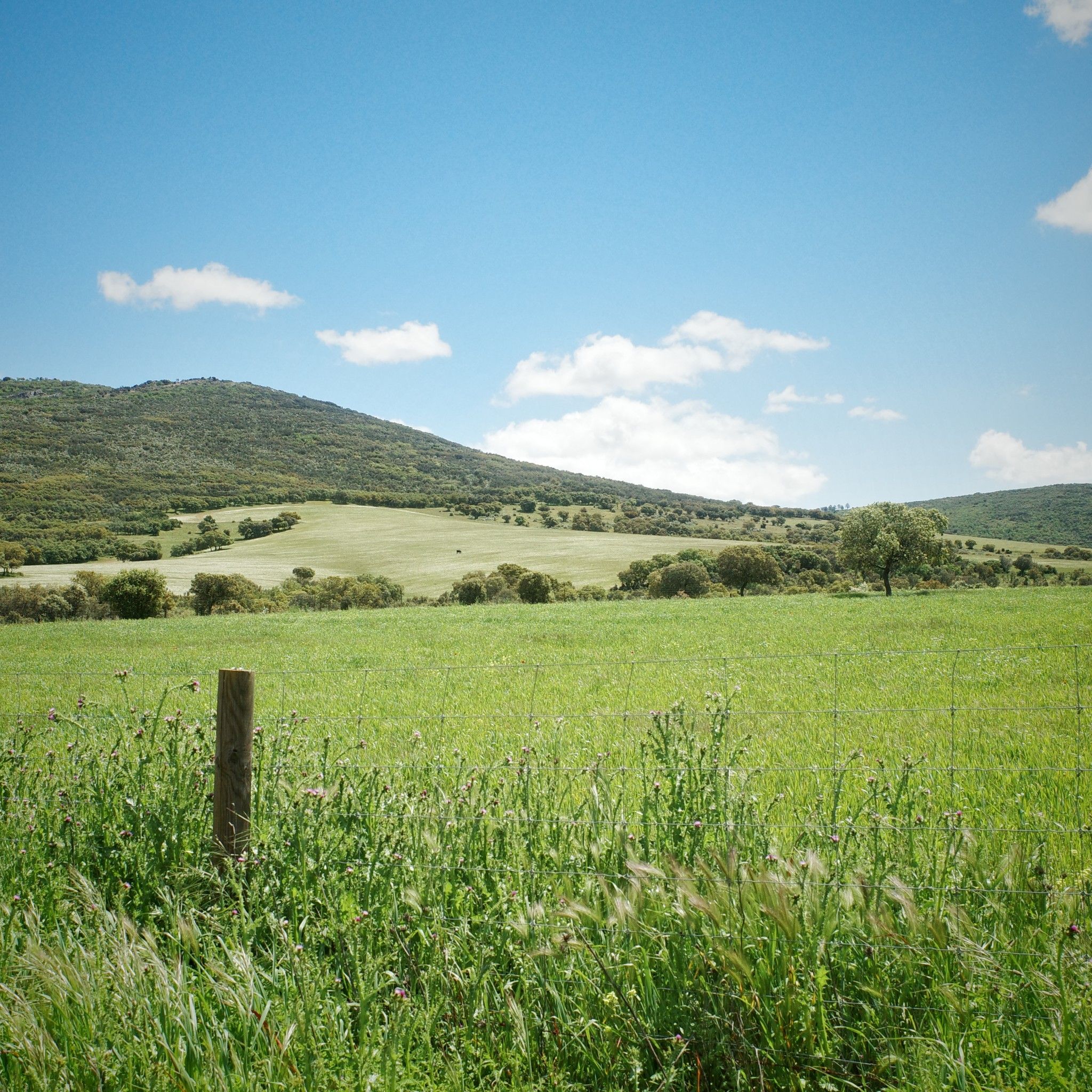 Section Puerto Lapiz - Consuegra