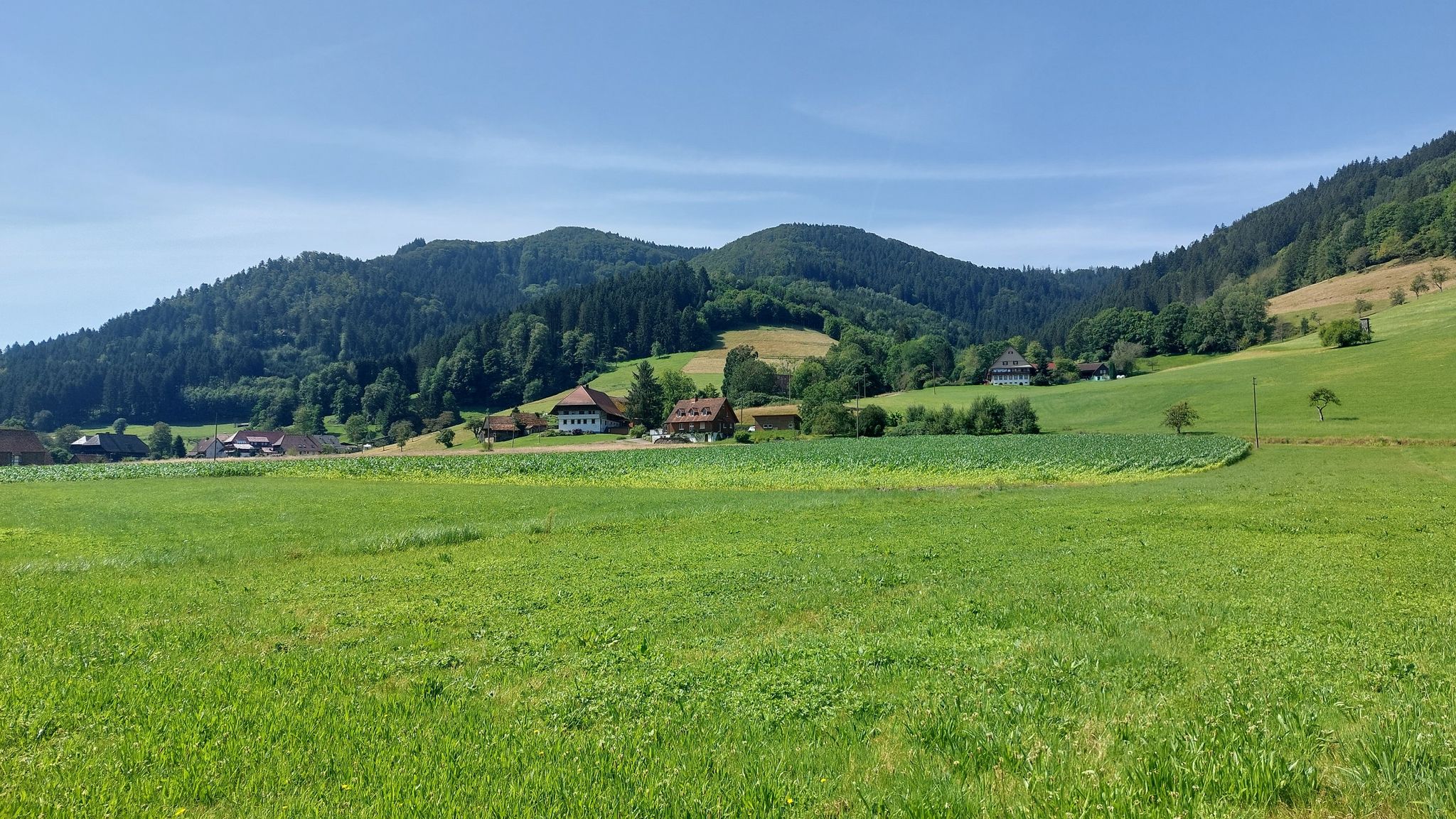 Gutach Turm  -  Saumerhöfe