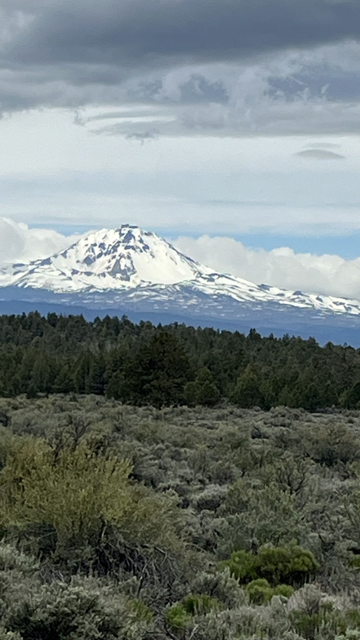 Snow-capped mountain peak rises above a dark forest under a cloudy sky. - Twin Bridges Scenic Bikeway