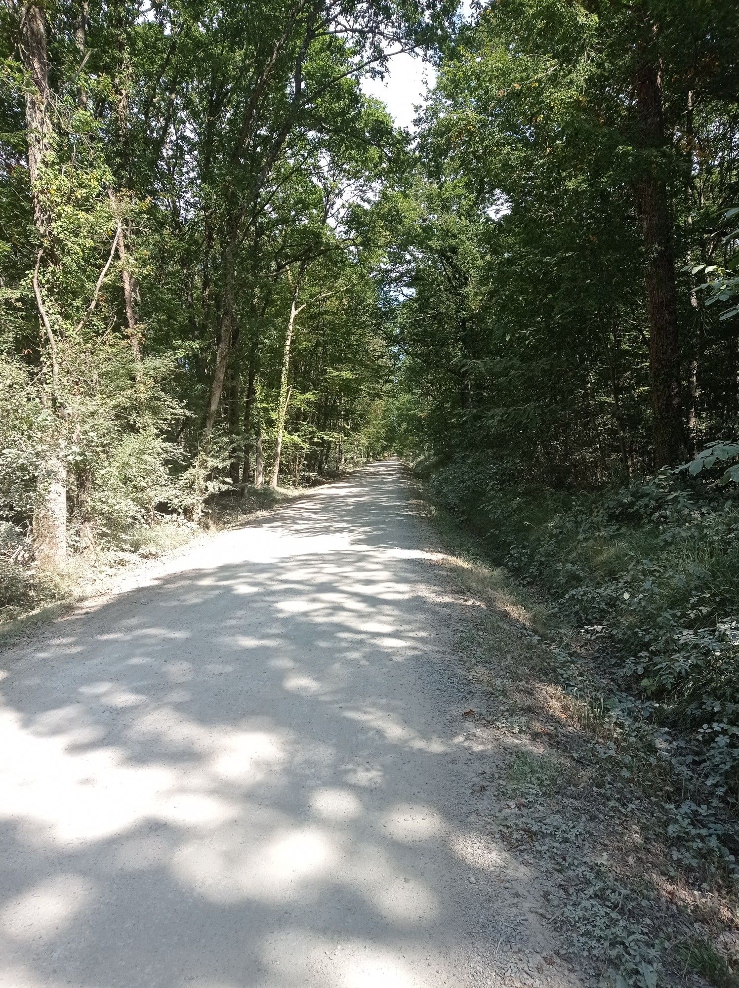 allee