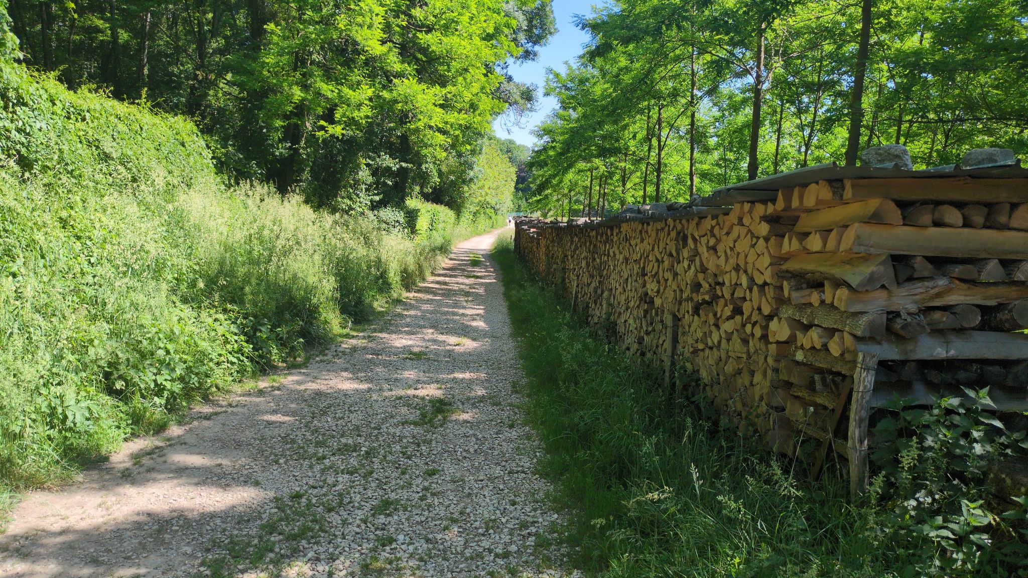 Mattaincourt