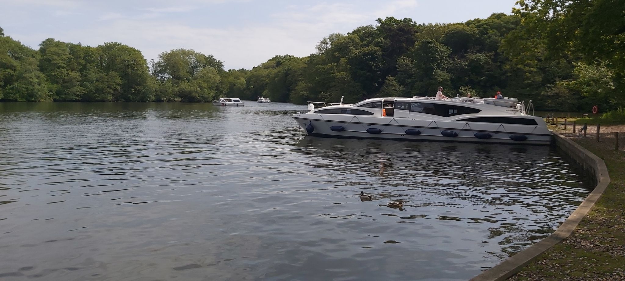 Salhouse moorings