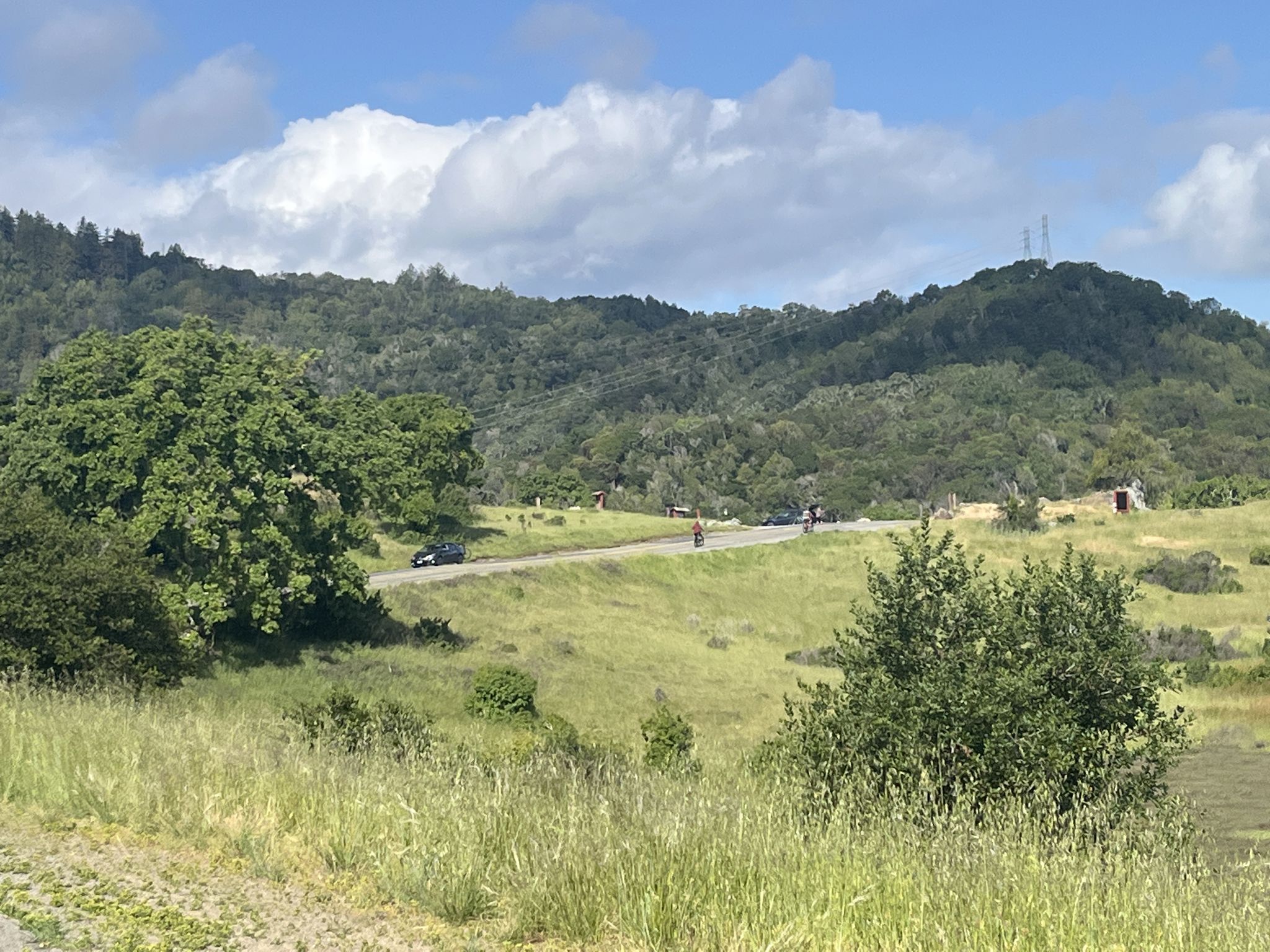 Green rolling hills with a road, distant cars, and scattered trees. - Turtle Back, Bullet Hill and Shoreline Loop