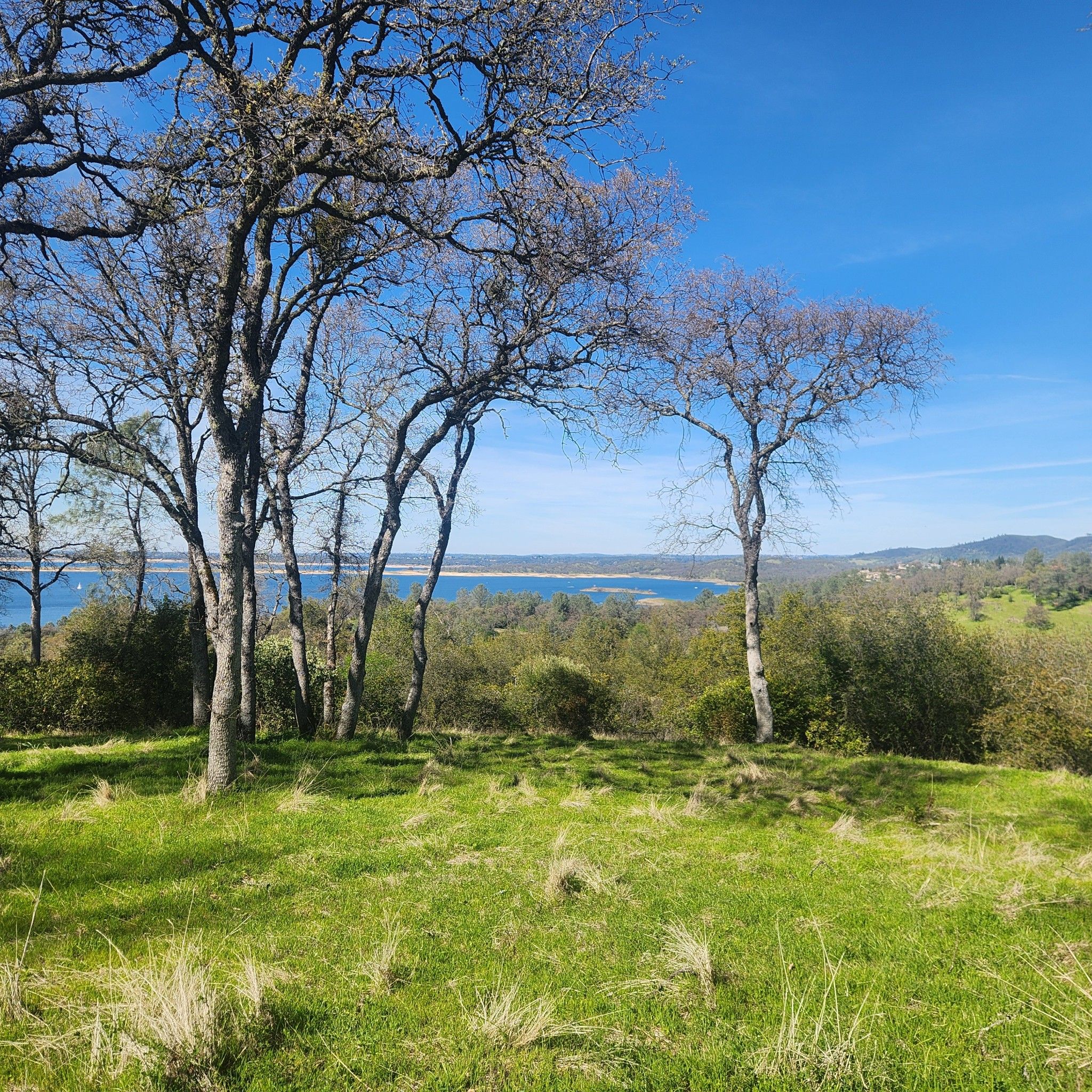 Grassy hill with bare trees overlooking a large blue lake under clear sky. - Flesh Wound, Killer Rabbit, Hells Grannies, and Browns Ravine Loop