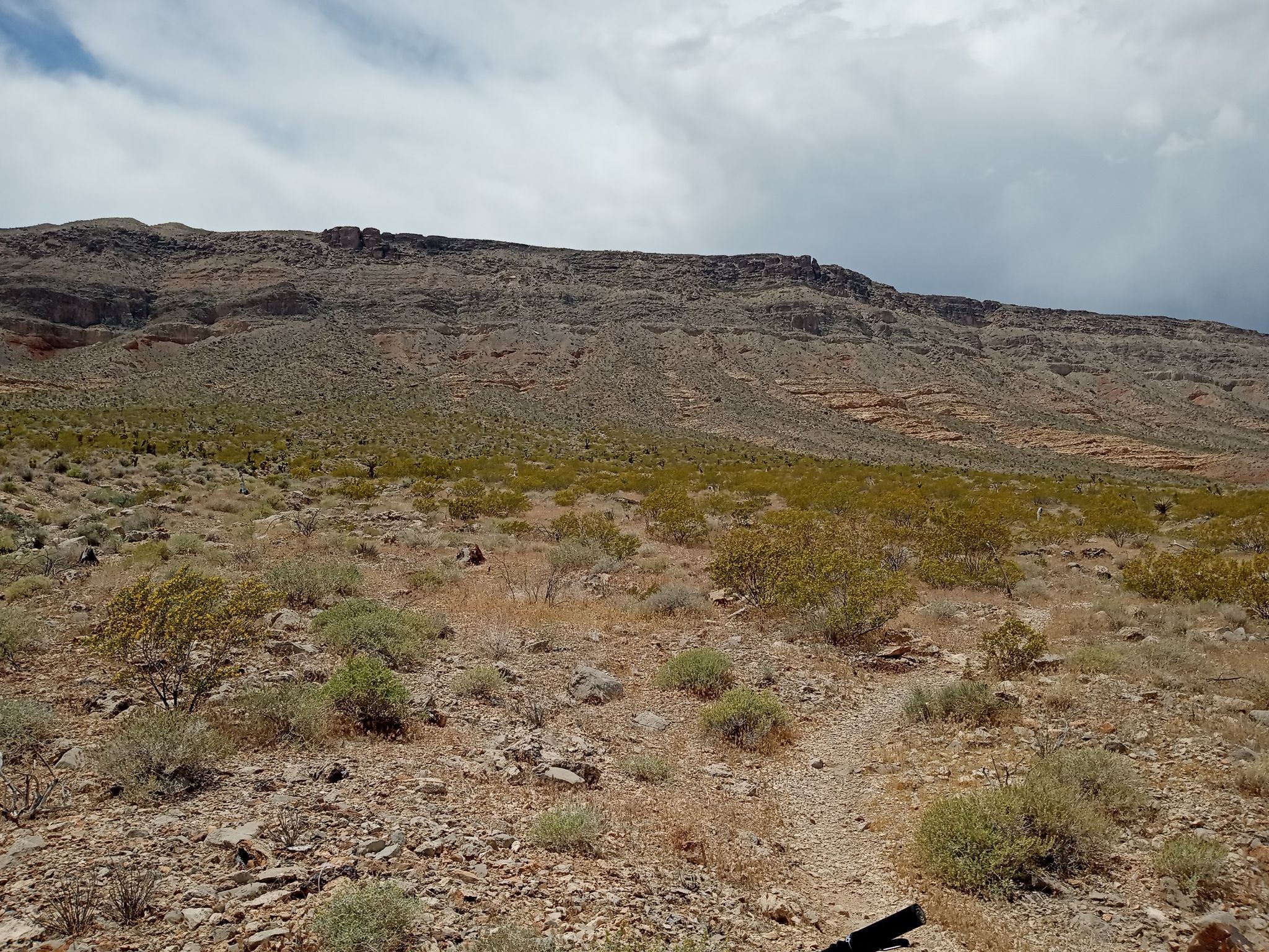 A narrow trail leads through a rocky desert under a cloudy sky. - Running loop from Site 7