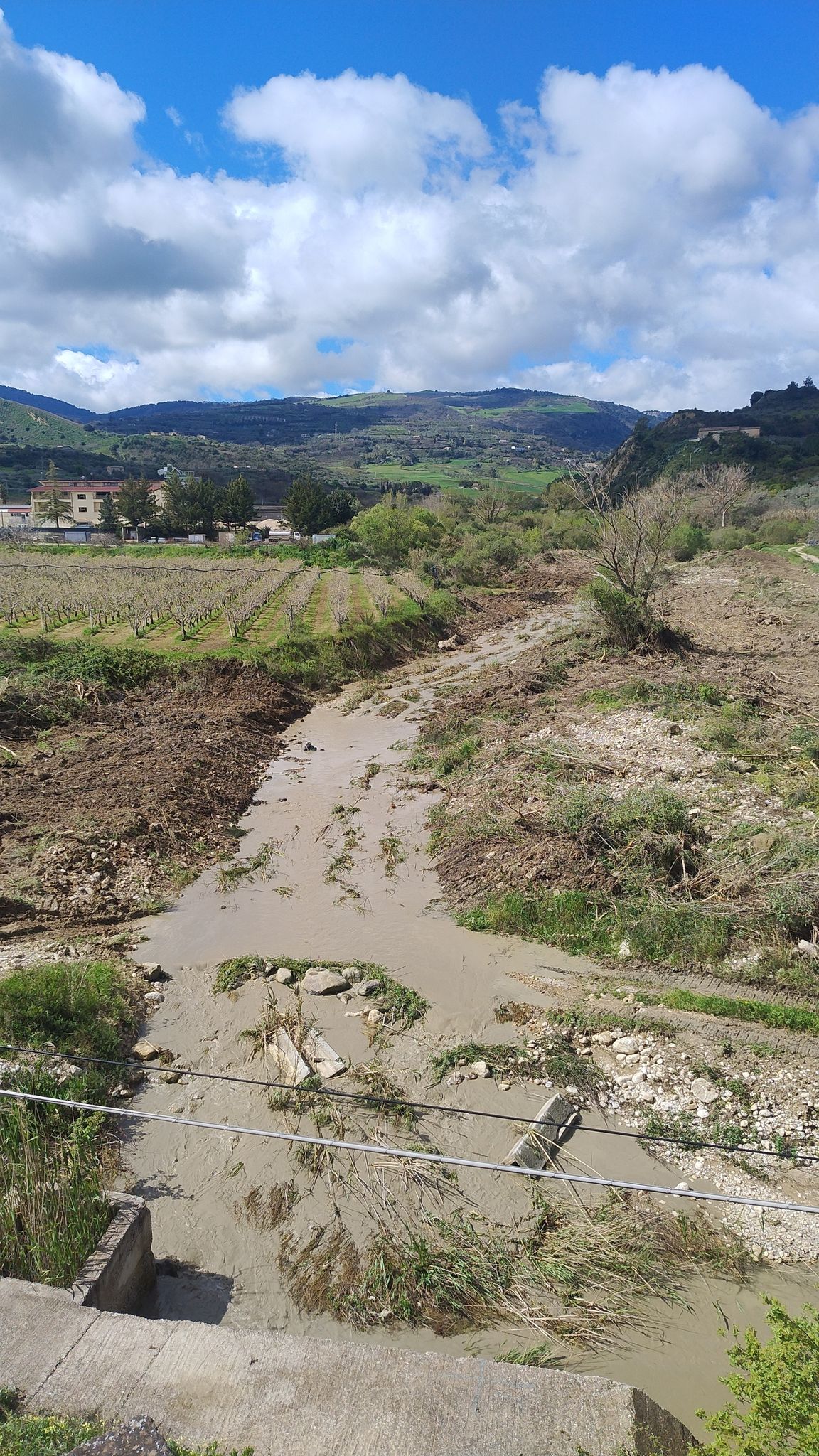 Fiume Platani 
