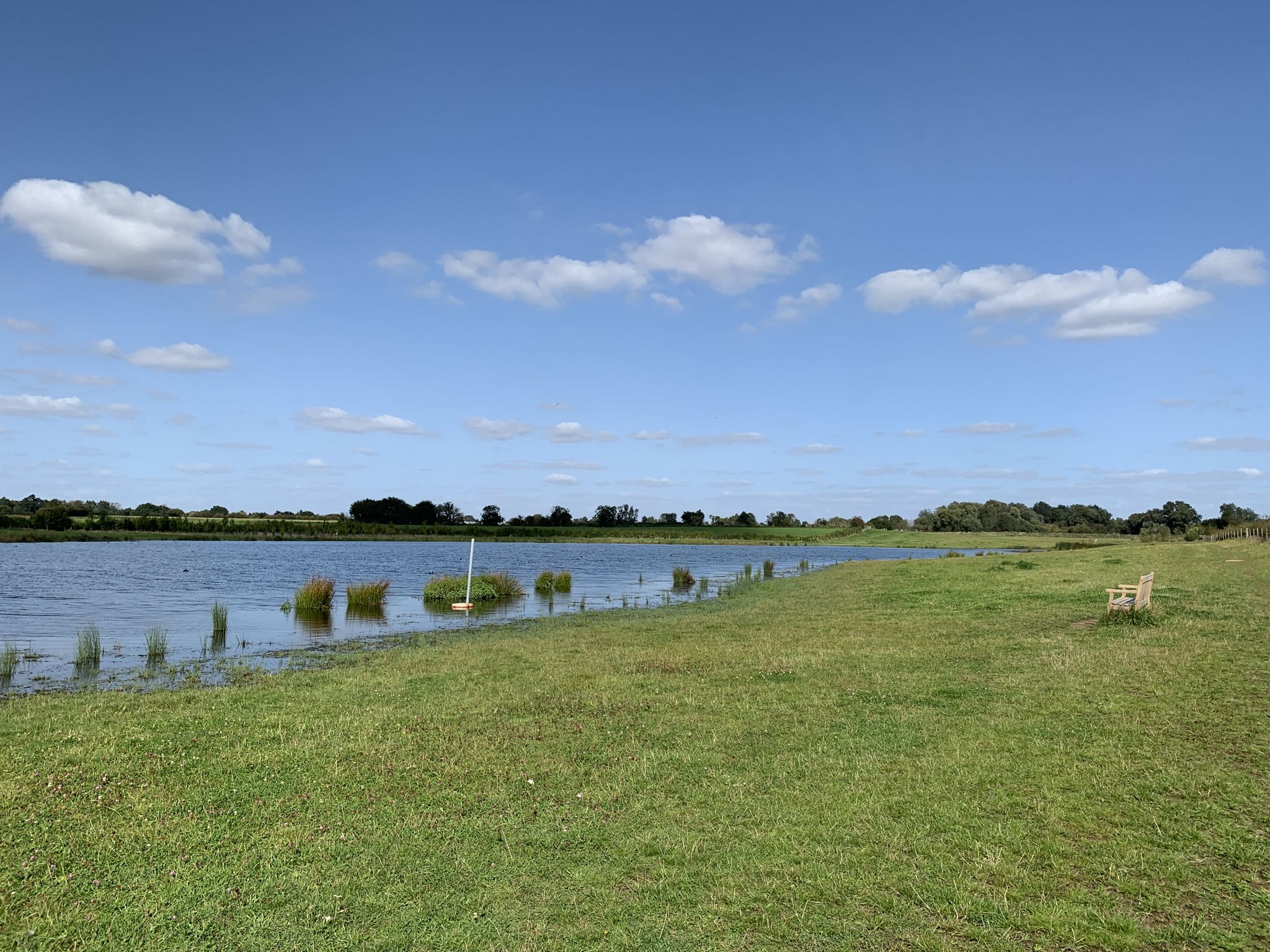Somersham nature reserve.
