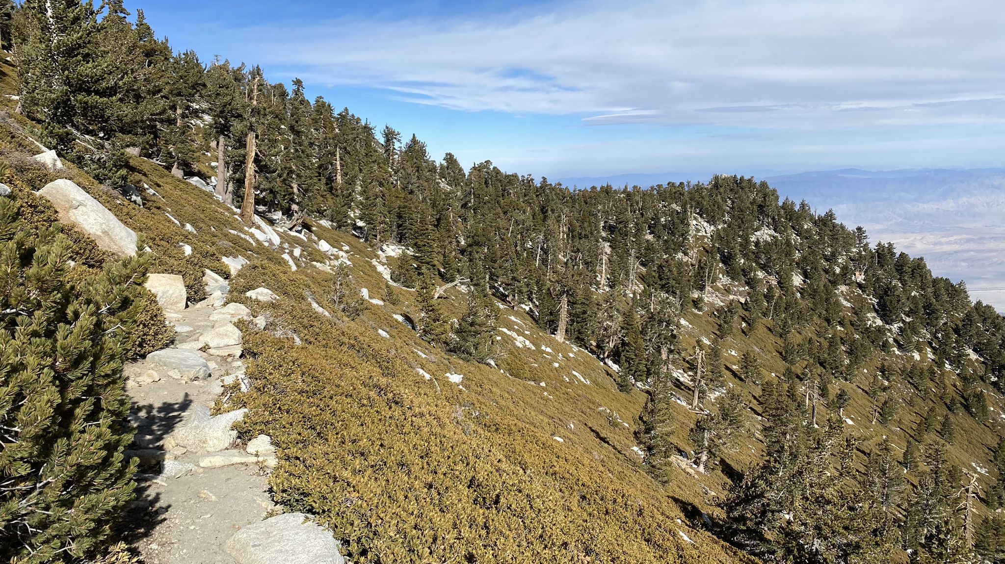 Rocky trail on a sunny, forested mountain slope with distant valley views. - San Jacinto Peak and Round Valley Loop