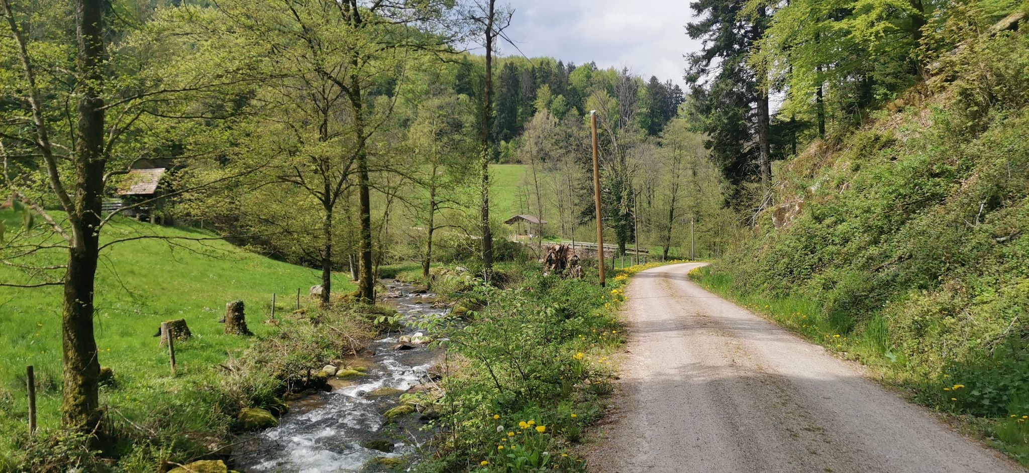 weg