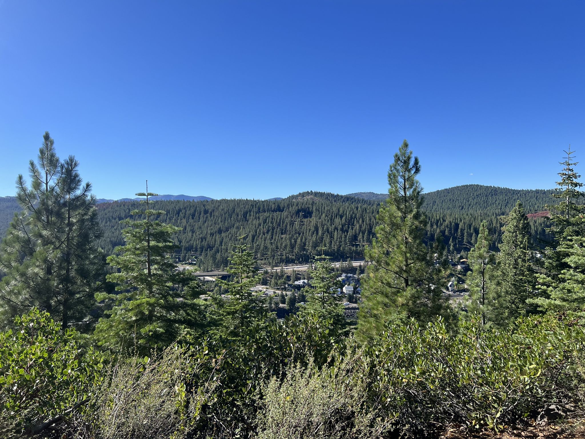 Overlook of a forested valley with distant buildings under a clear sky. - Truckee Downtown – Sawtooth Trail loop from Truckee
