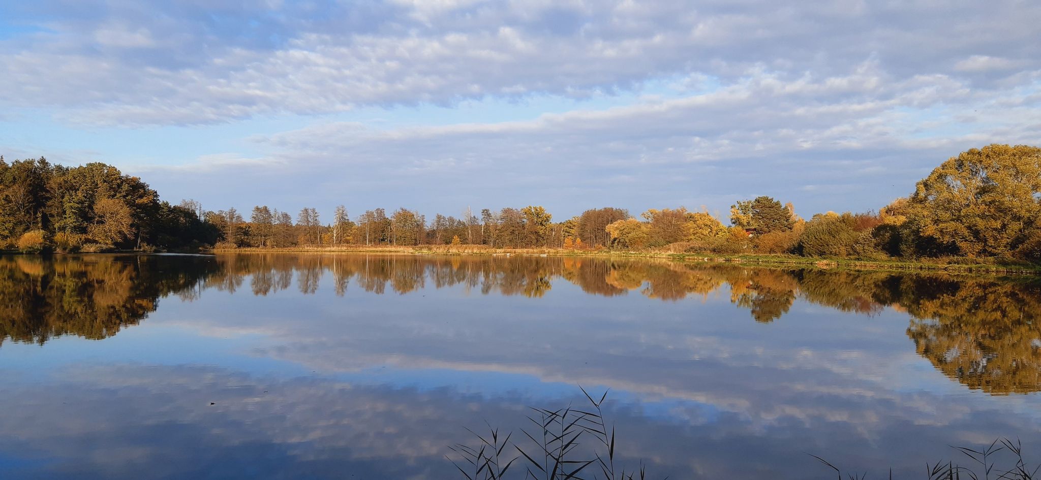 Mahlweiher bei Seligenporten