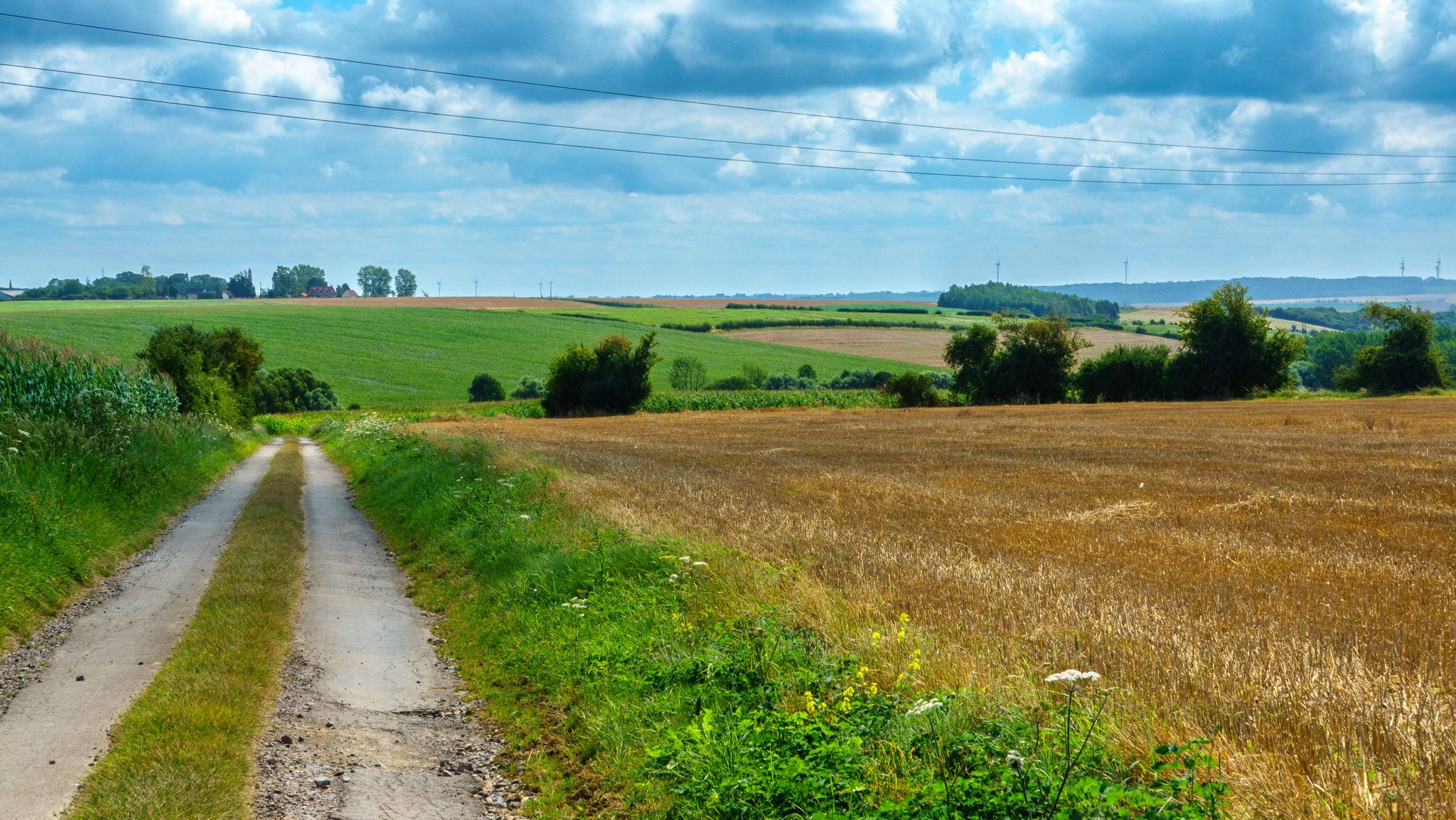Panorama Via Francigena