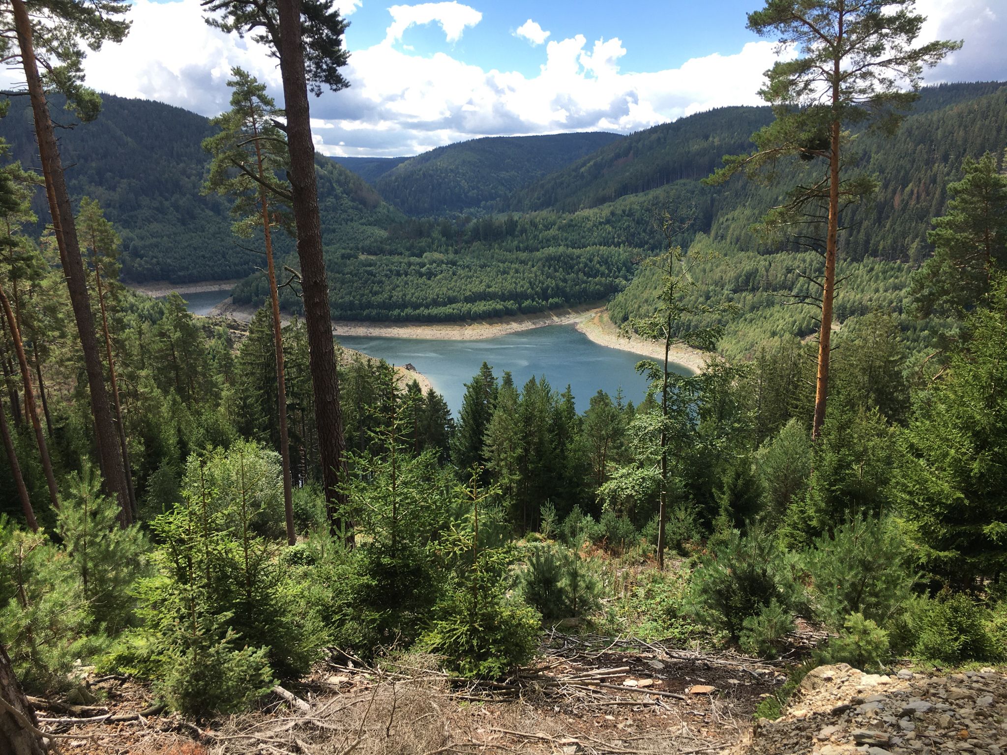 Blick zum versunkenen Alt Leibis