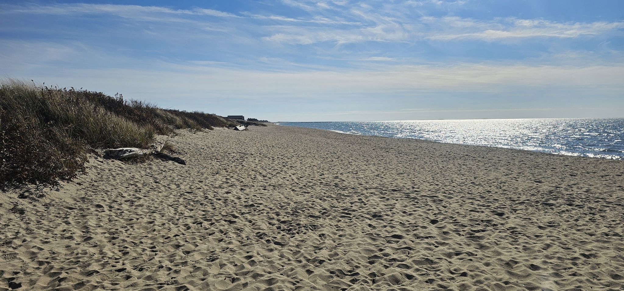 Wide sandy beach with dunes and sparkling ocean under a bright blue sky. - Hammonasset Beach State Park – Hammonasset Beach loop from Hammonasset Beach State Park