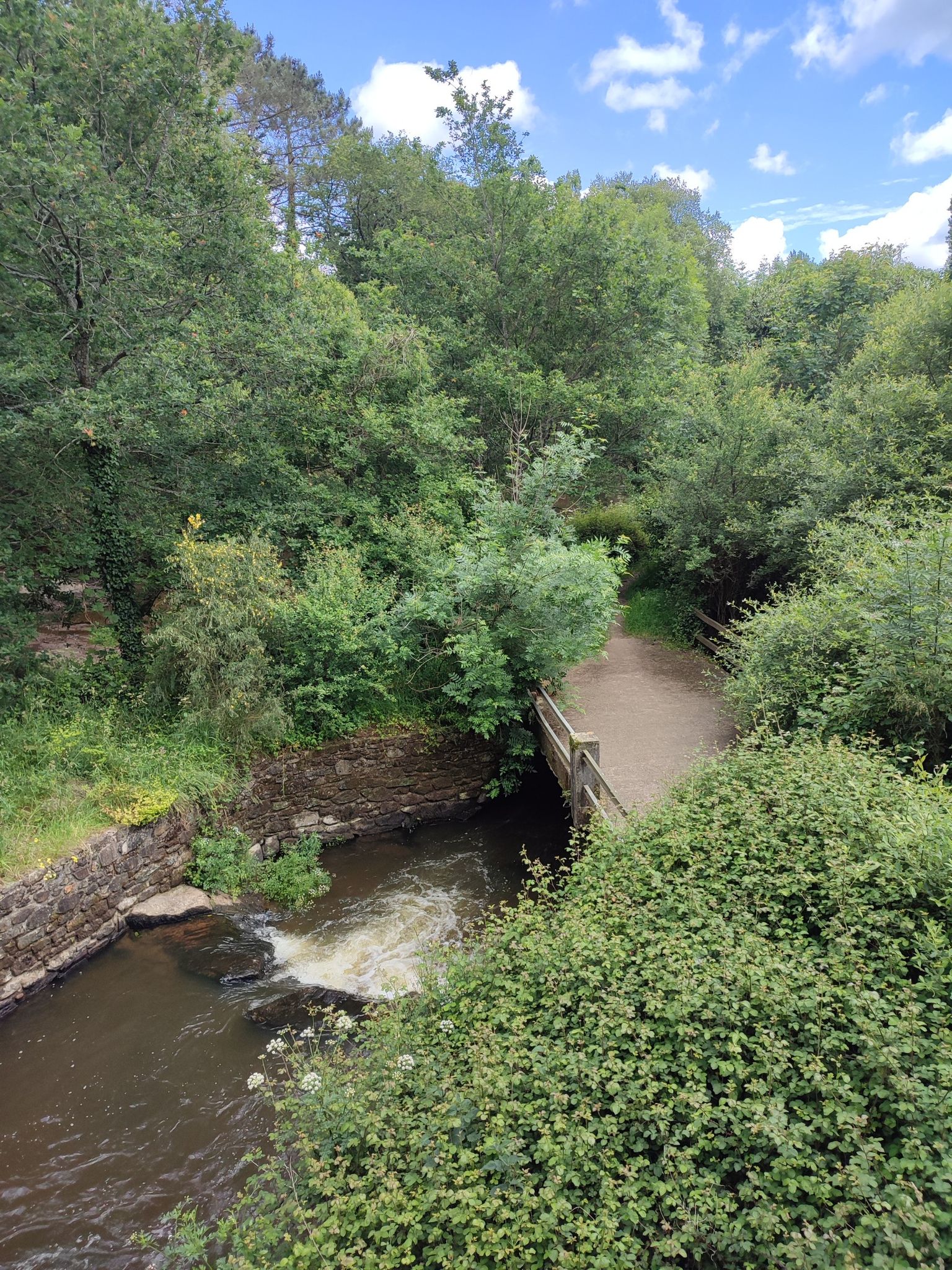Cascade