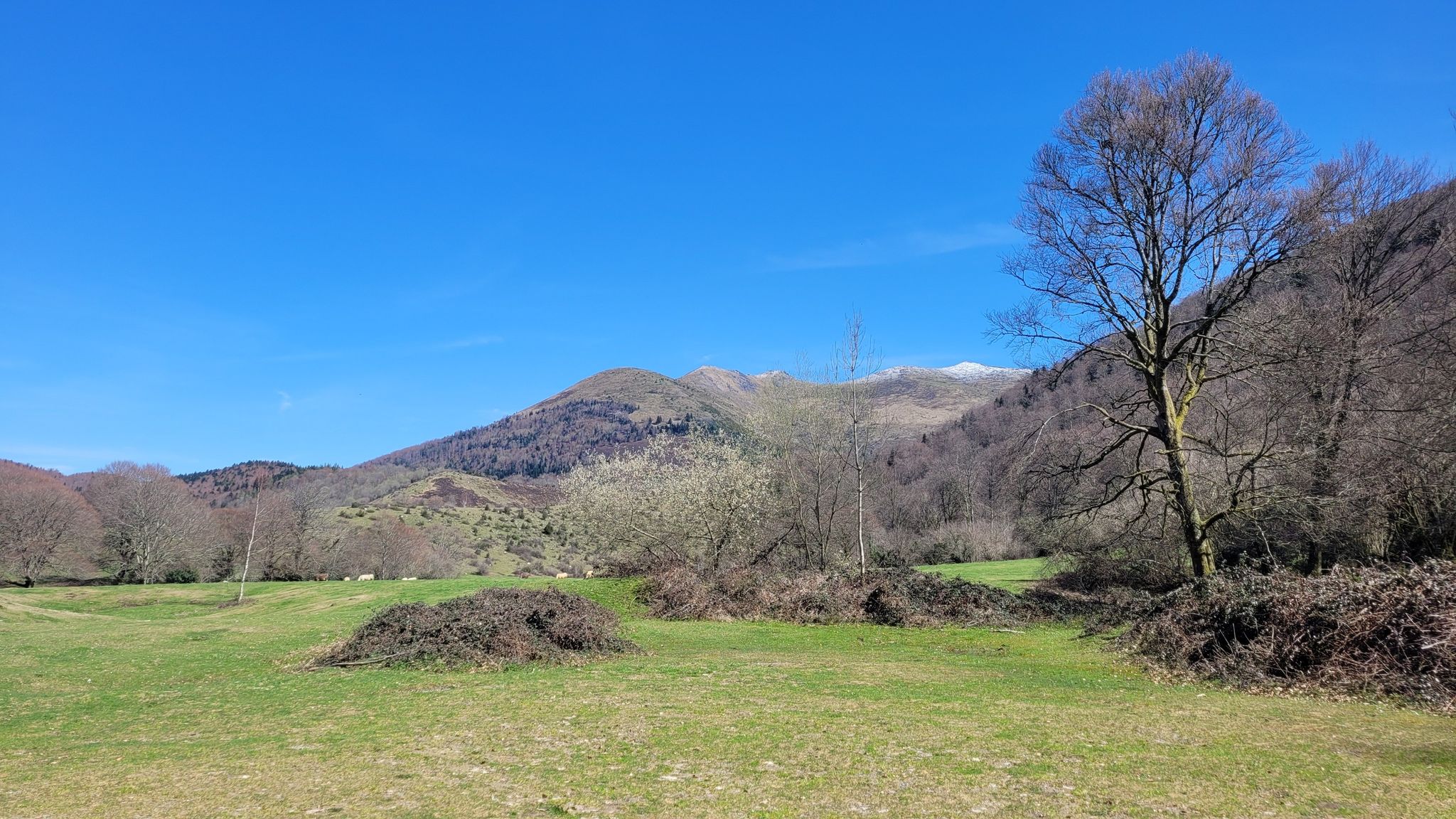 Au fond, il reste un peu de neige sur le Mail (1600m).