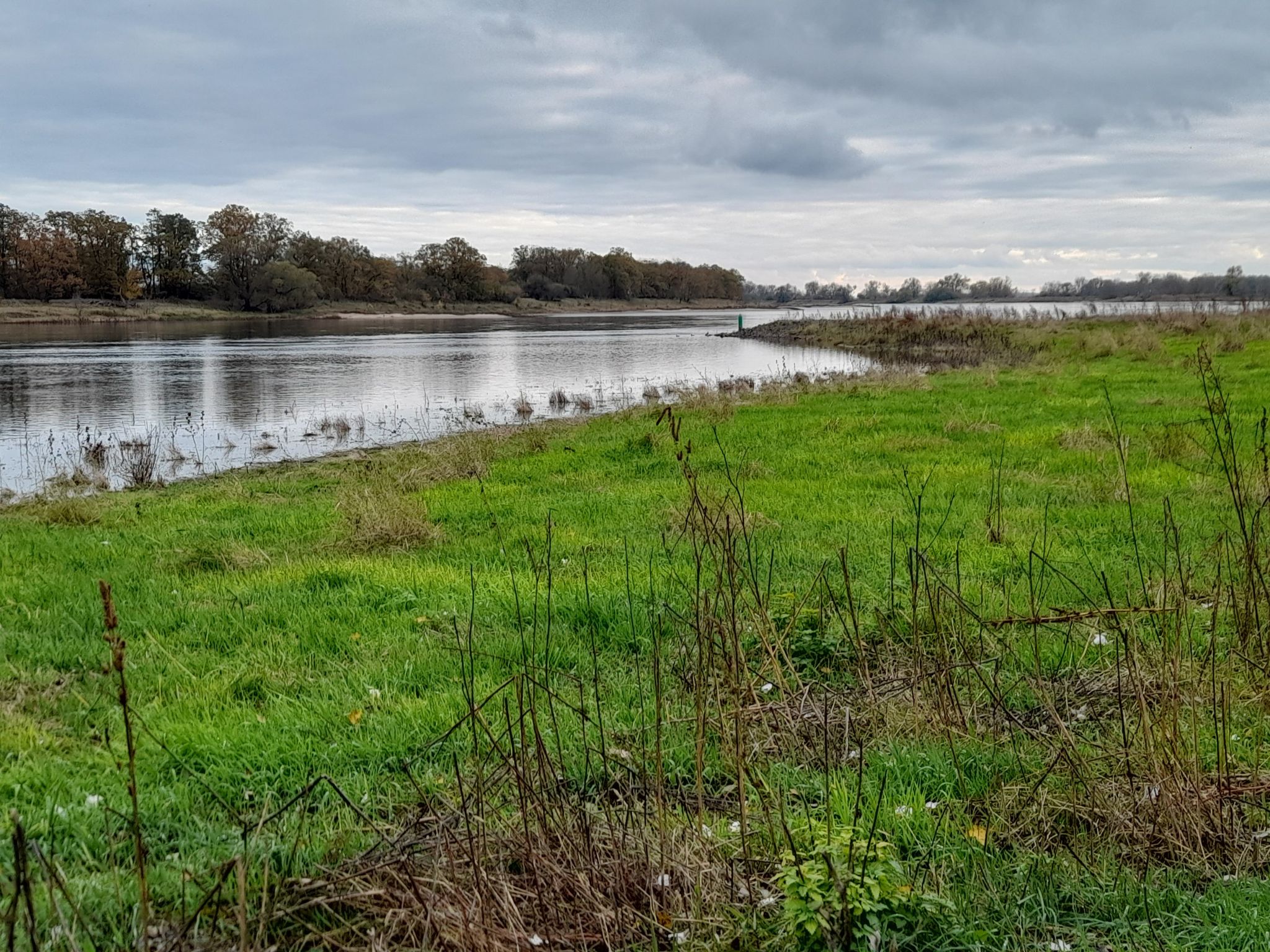 An der Elbe