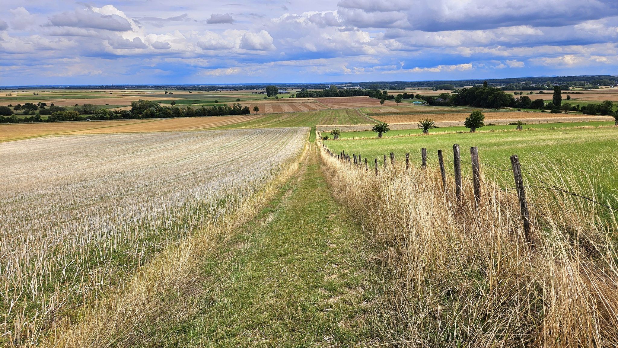 Blick in die Zülpicher Börde