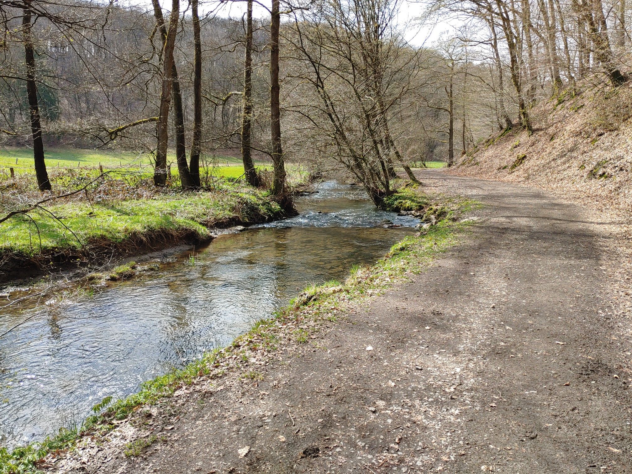 der Naafbach